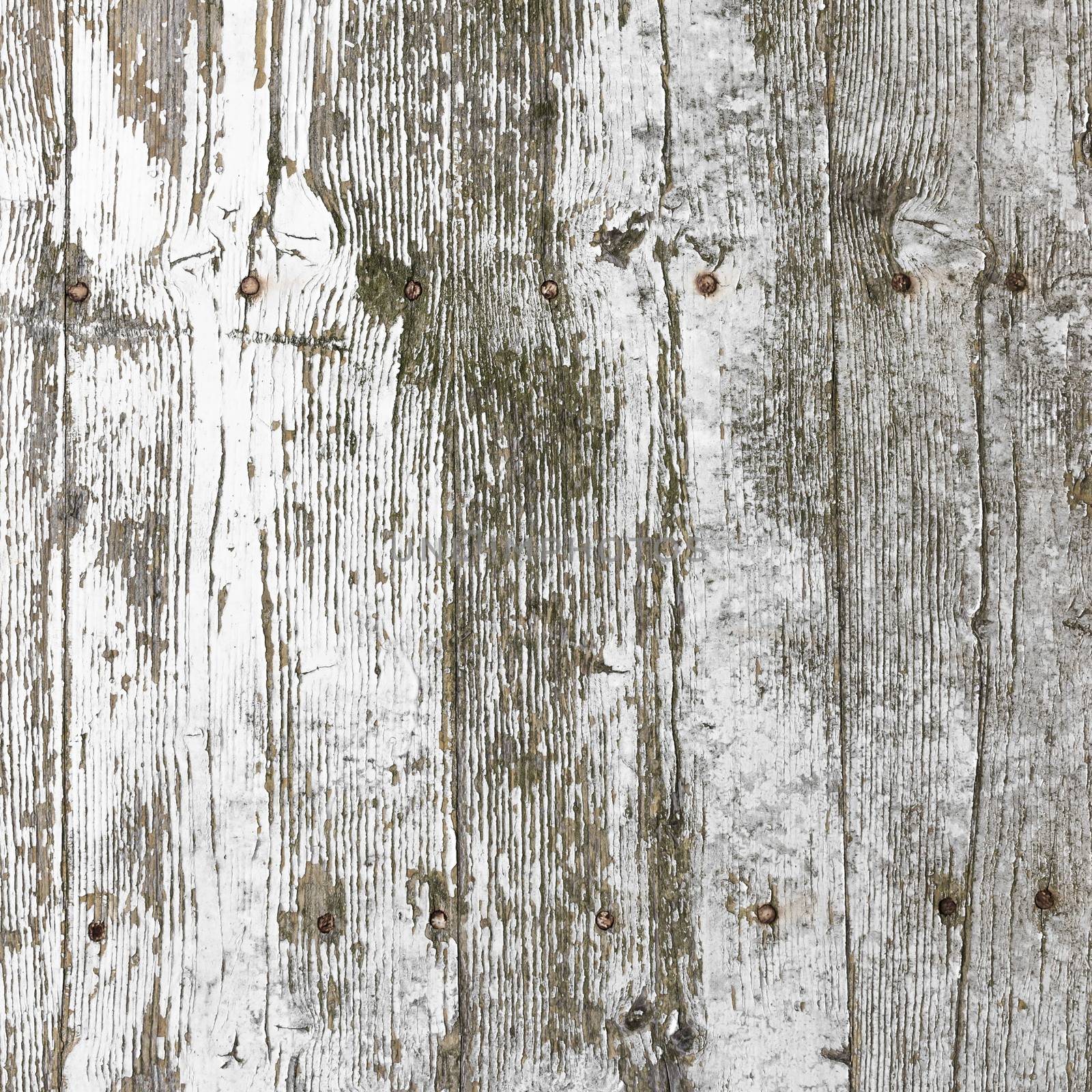 Wooden light planks by germanopoli