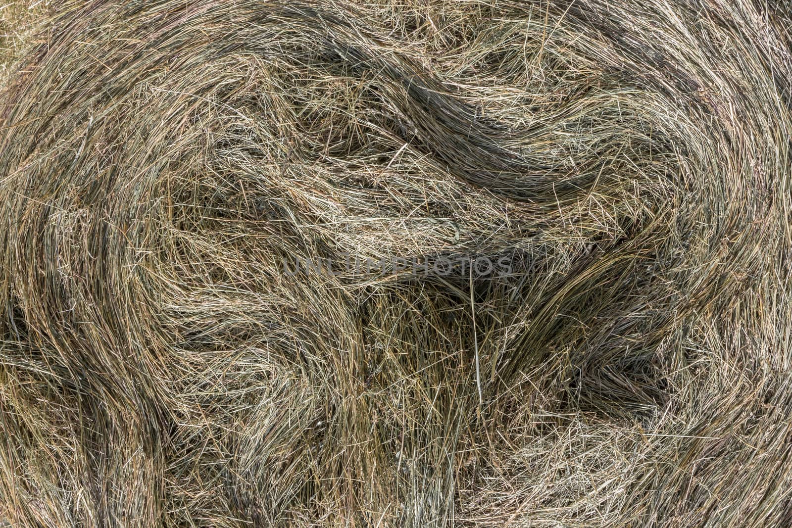 Detail of a big bale of hay after harvest.