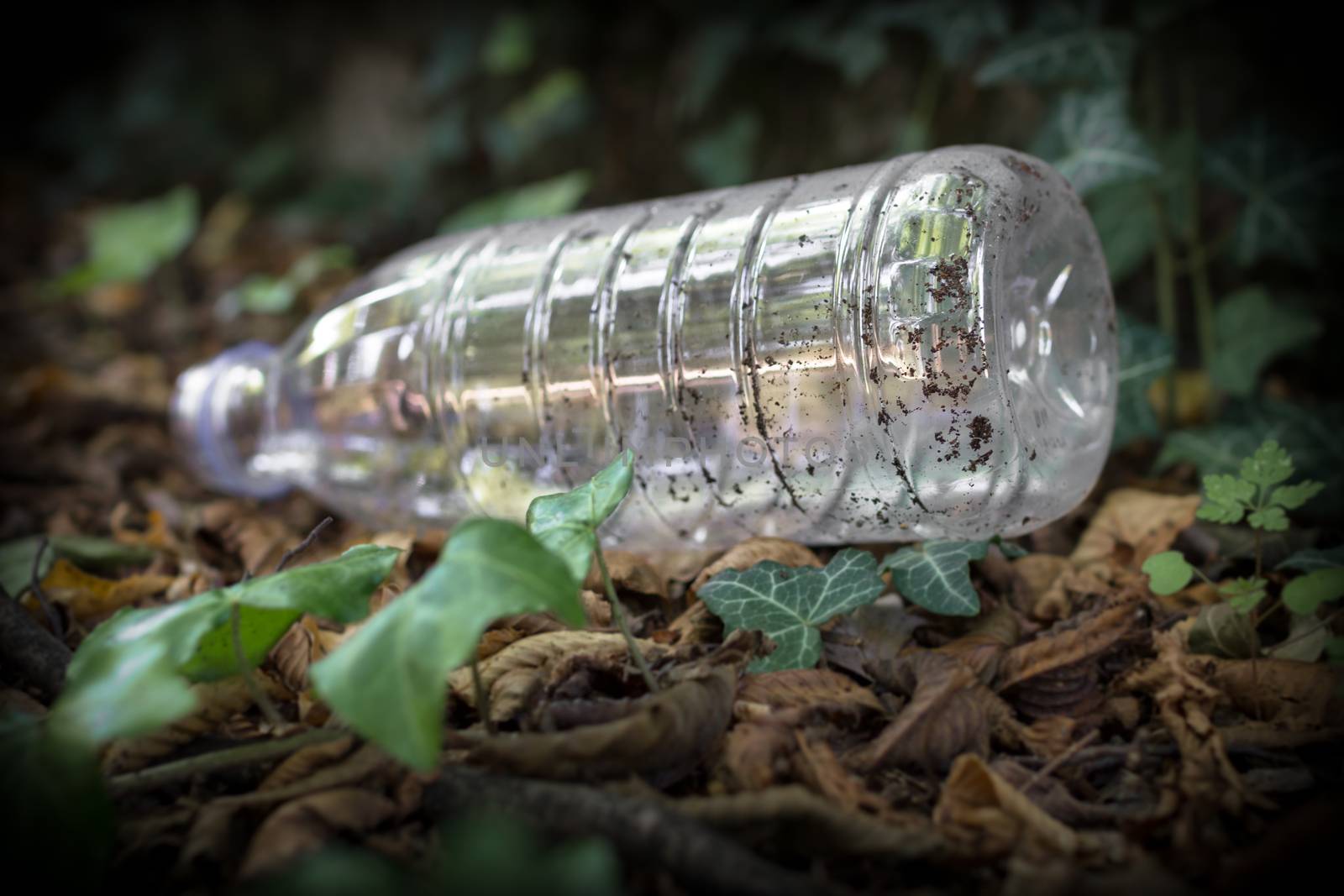 A refusal to bottle thrown to the ground.