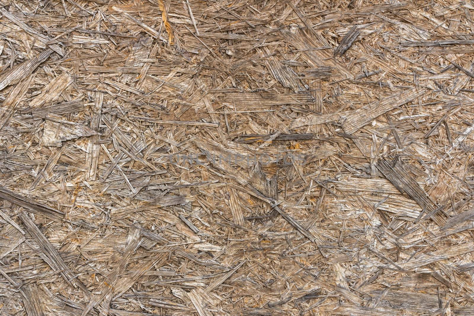 Raw plywood panel, made with fragments and scraps of different woods.