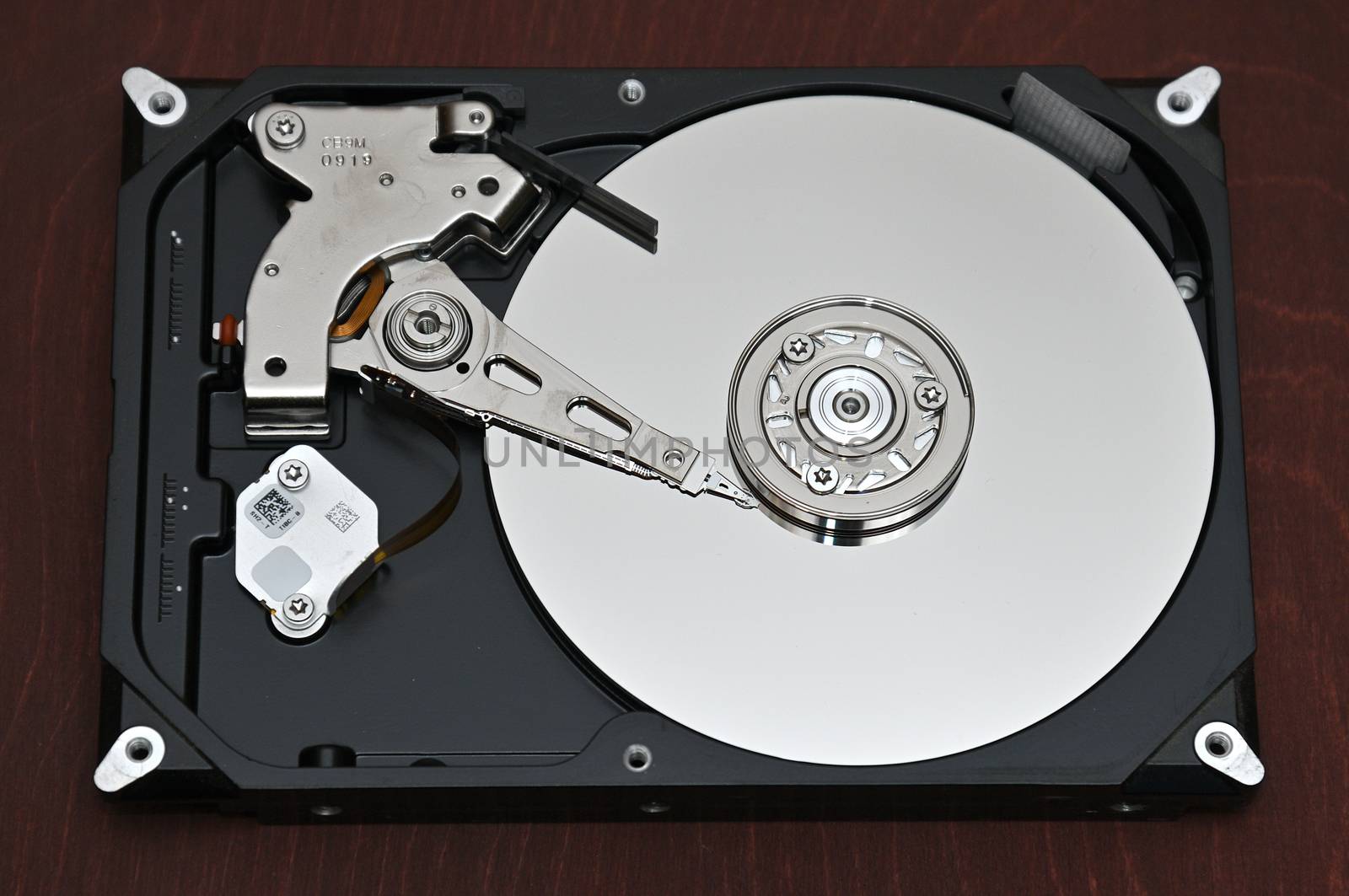 Computer hard disk-hard drive on an isolated background by moviephoto