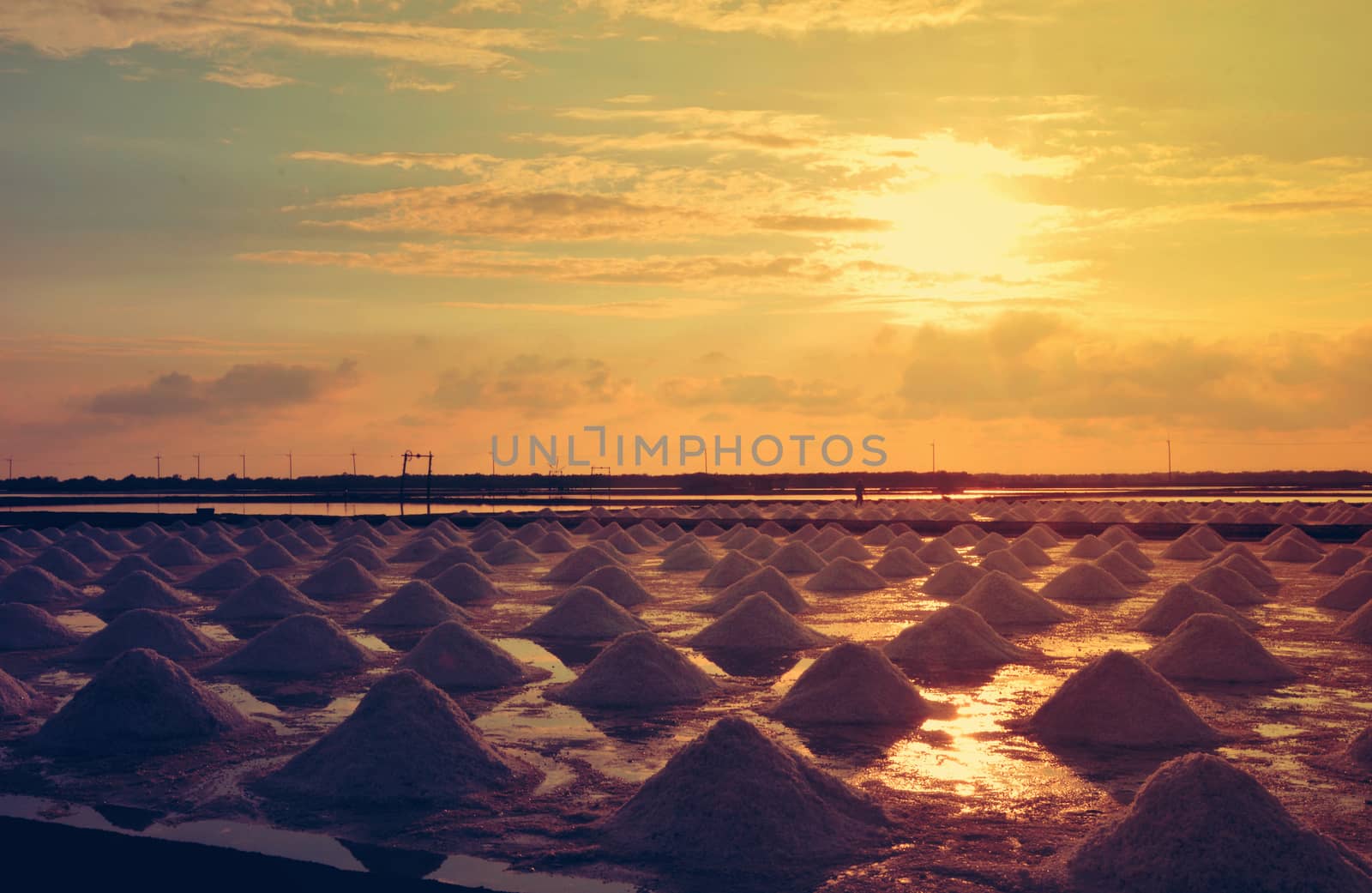 Salt pan or salt field,  Landscape of salt farming field in Sun rise