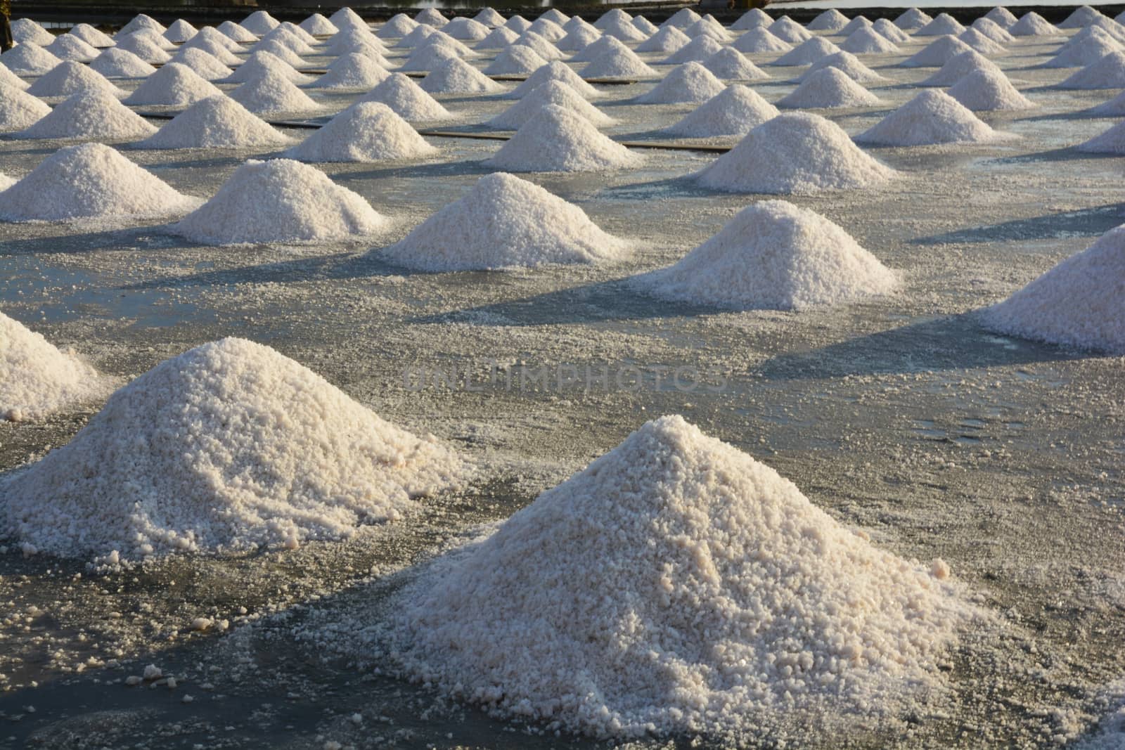 Salt pan or salt field,  Landscape of salt farming field 