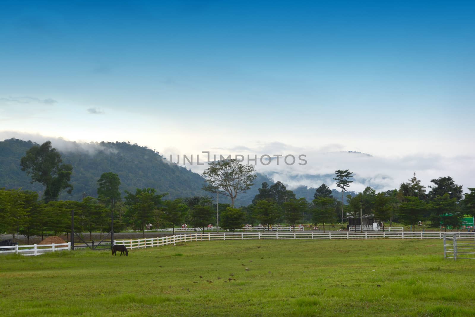 beautiful horse on the ranch by ideation90