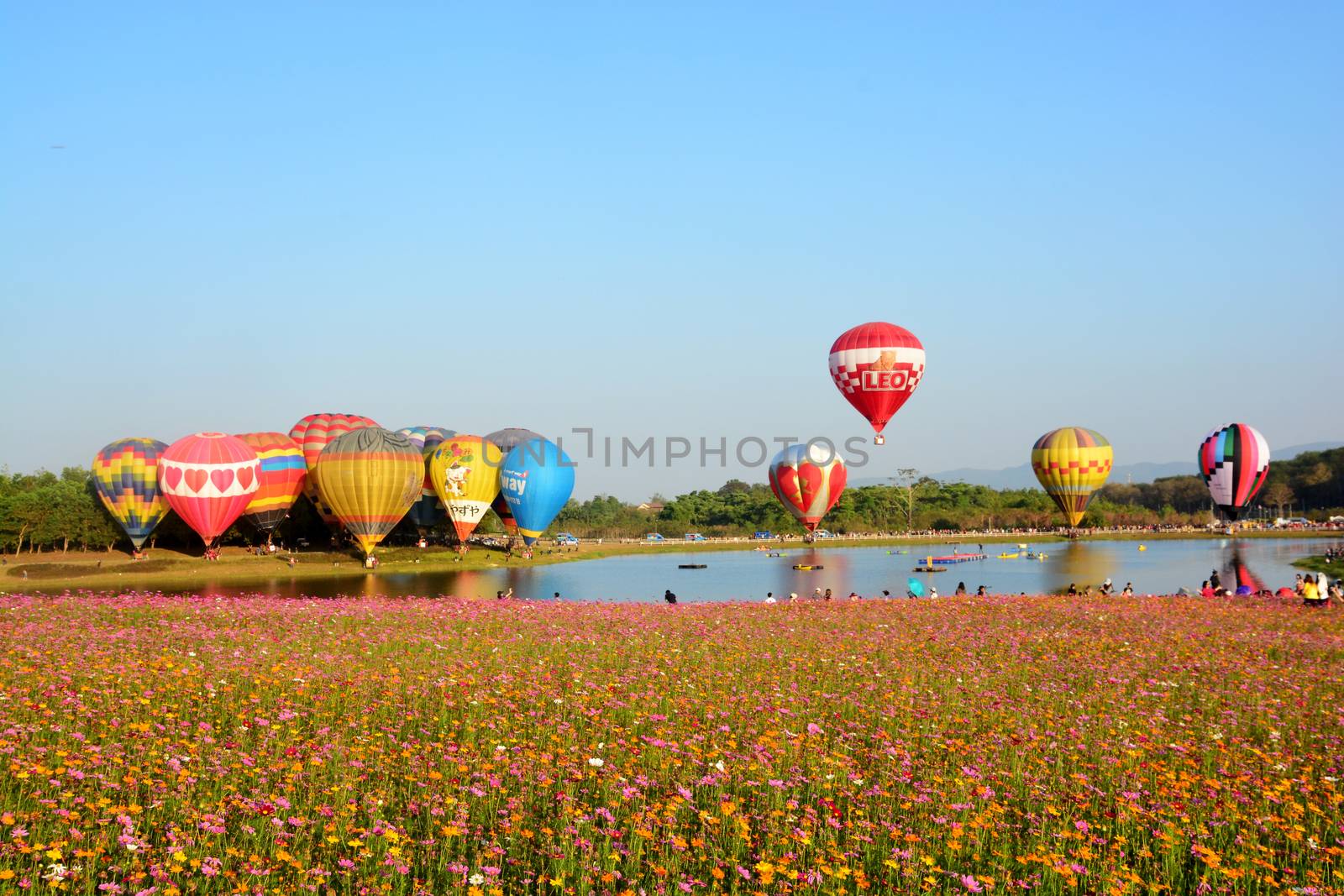 Balloon Festival by ideation90