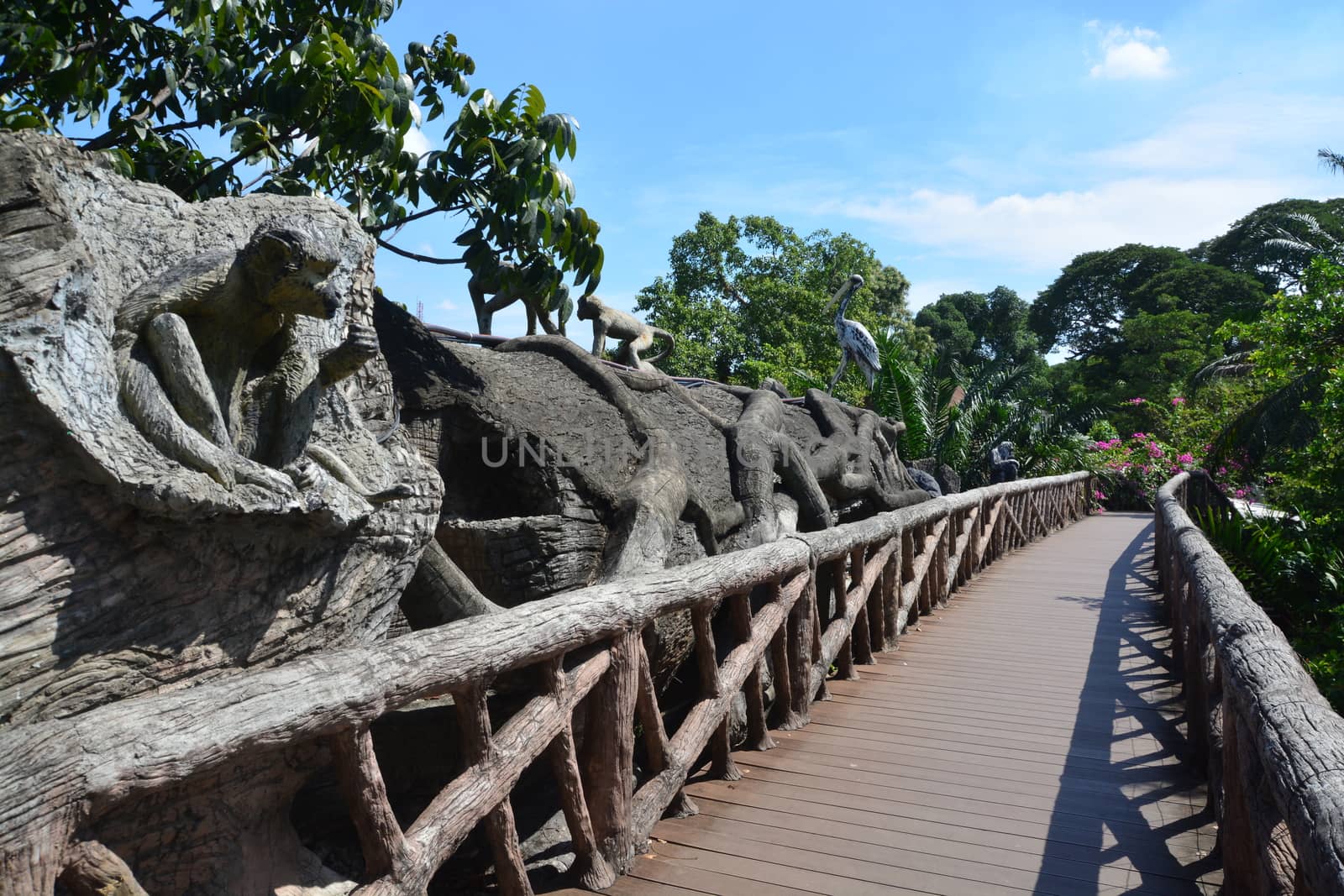 walkway in  public zoo at dusit zoo Bangkok, Thailand by ideation90