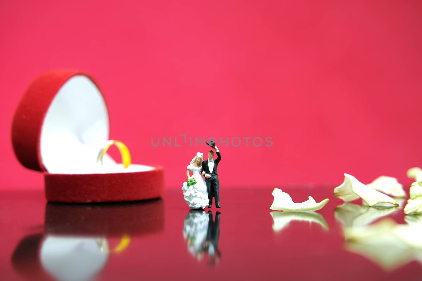 Miniature photography - garden flower outdoor wedding concept, bride and groom walking on shiny floor with white rose petal, including red heart shape ring box by Macrostud