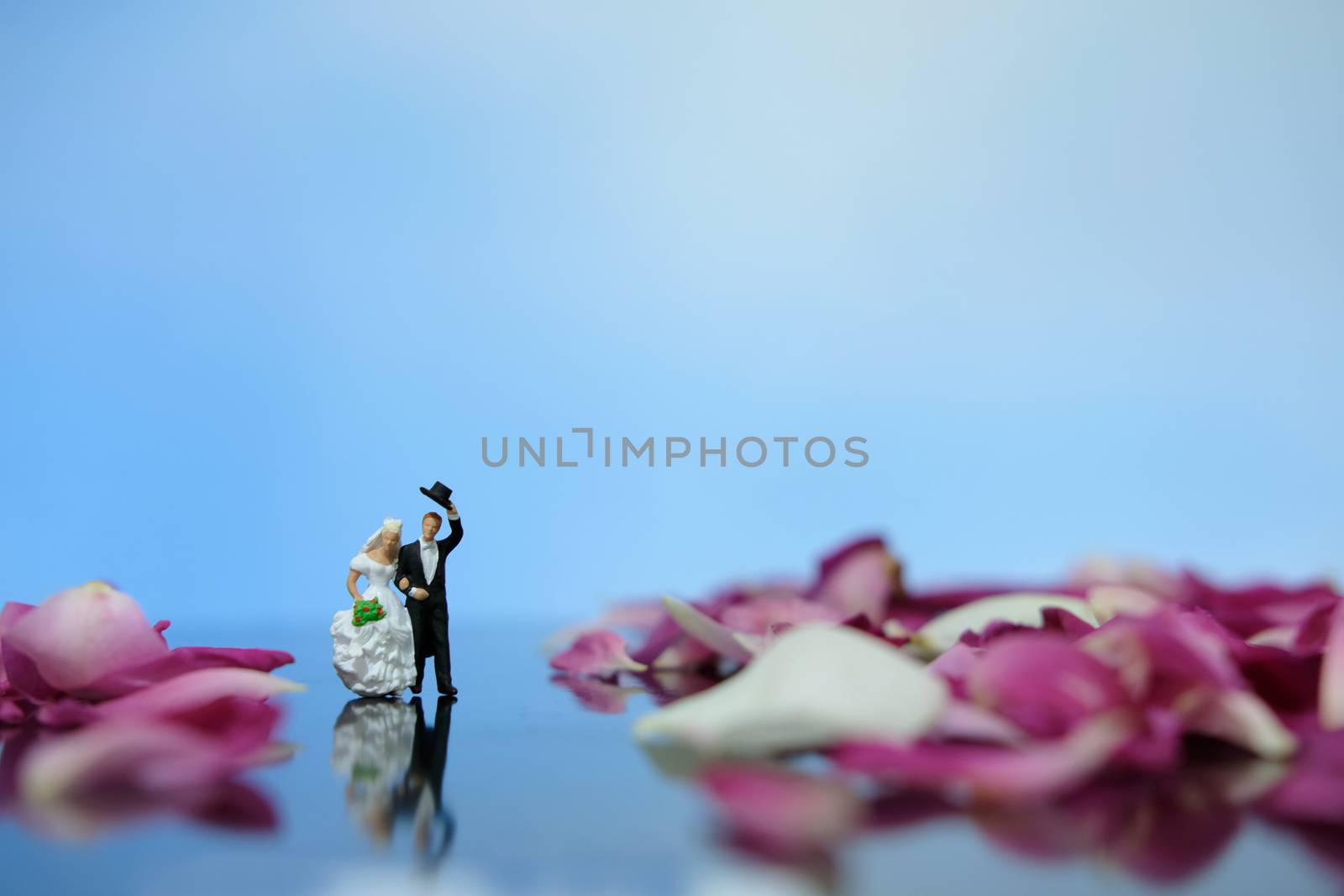 Miniature photography outdoor marriage wedding concept, bride and groom walking on red white rose flower pile
