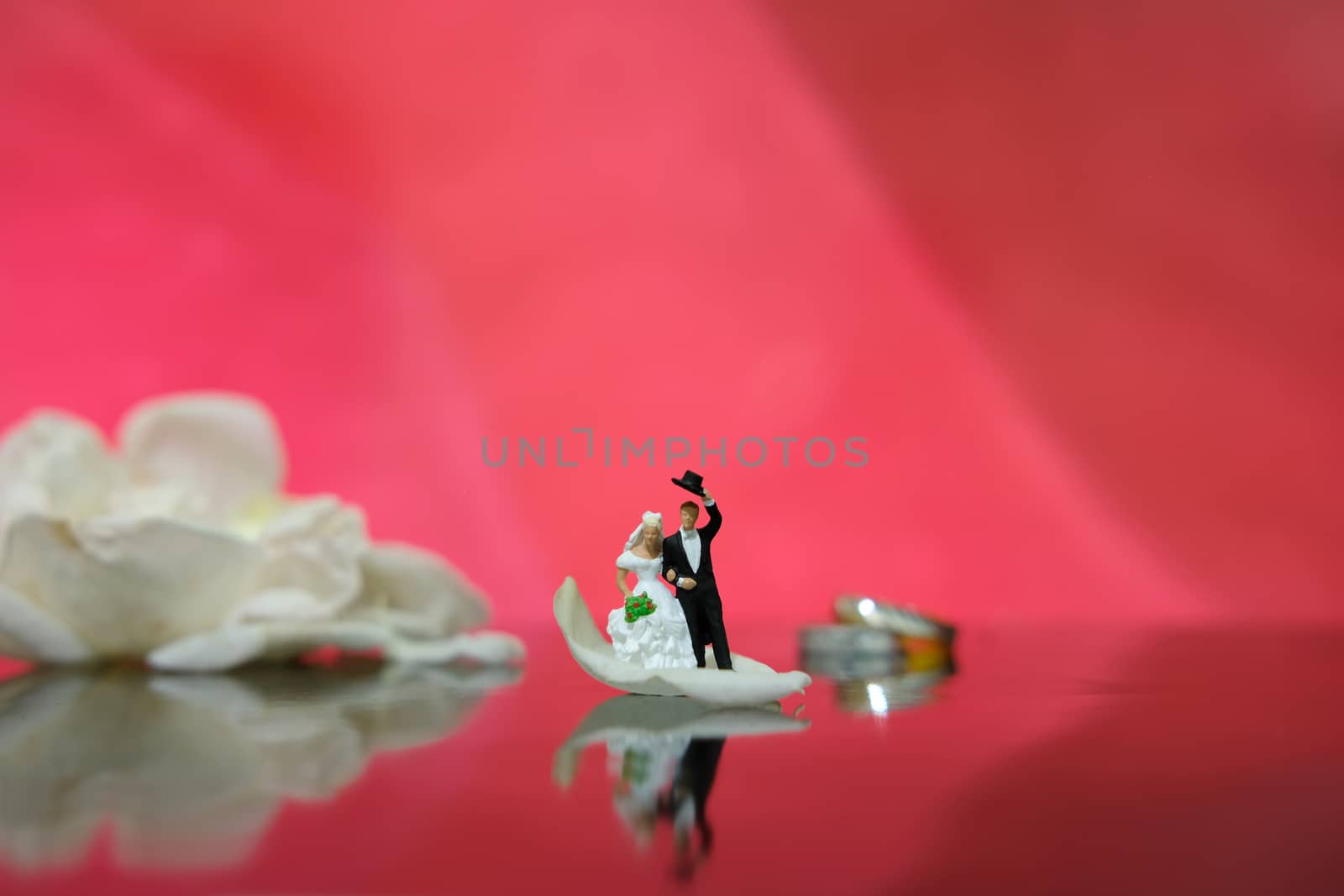 Miniature photography - garden flower outdoor wedding concept, bride and groom walking on shiny floor with white rose petal