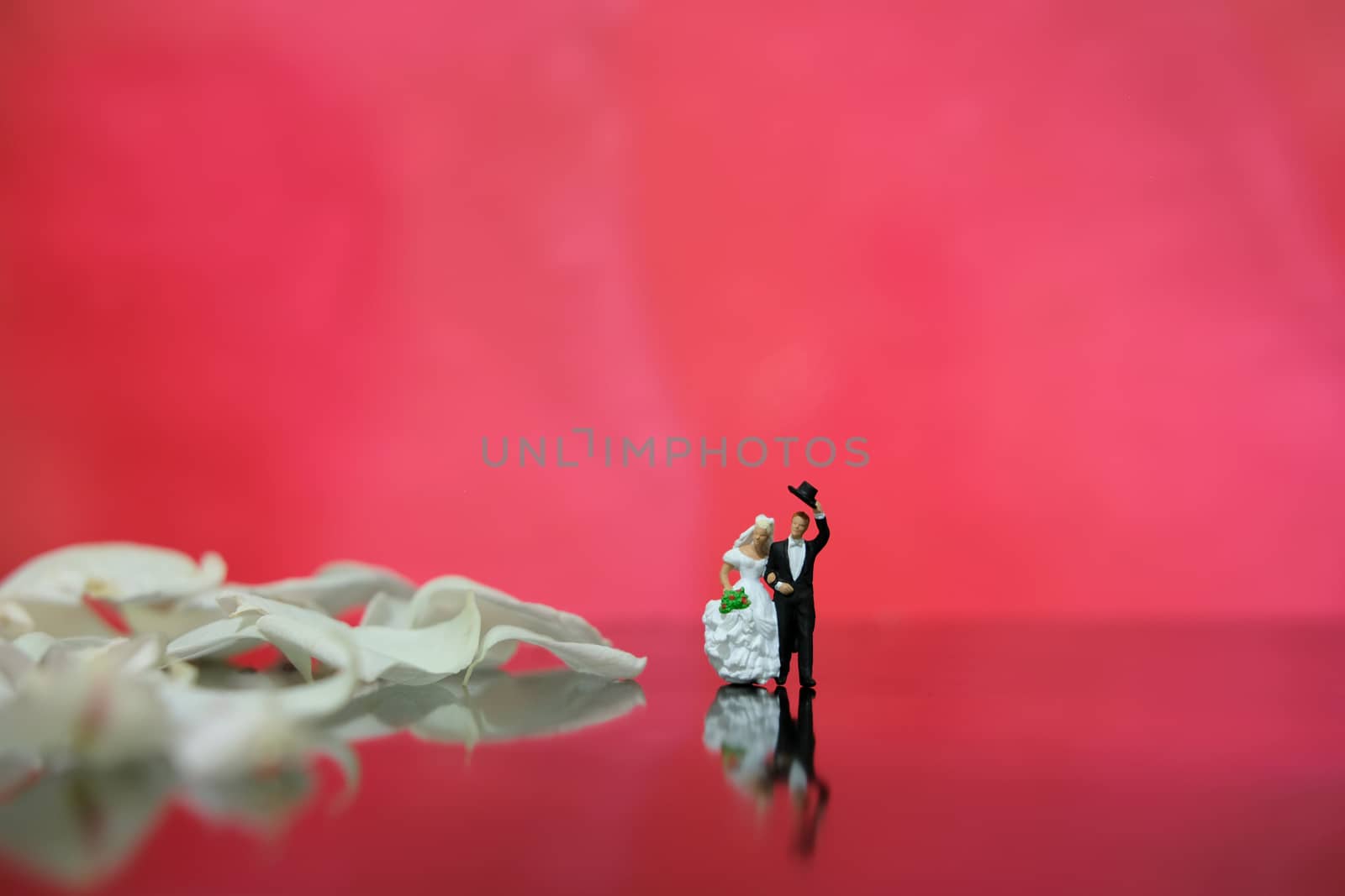 Miniature photography - garden flower outdoor wedding concept, bride and groom walking on shiny floor with white rose petal