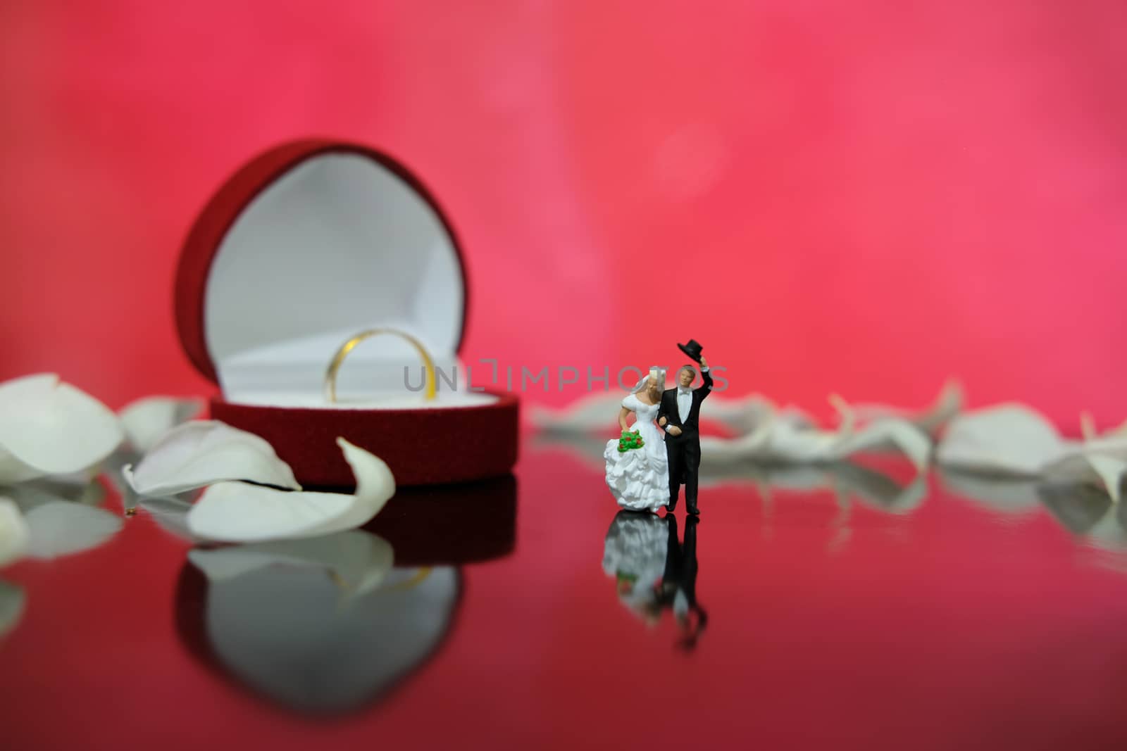 Miniature photography - garden flower outdoor wedding concept, bride and groom walking on shiny floor with white rose petal, including red heart shape ring box