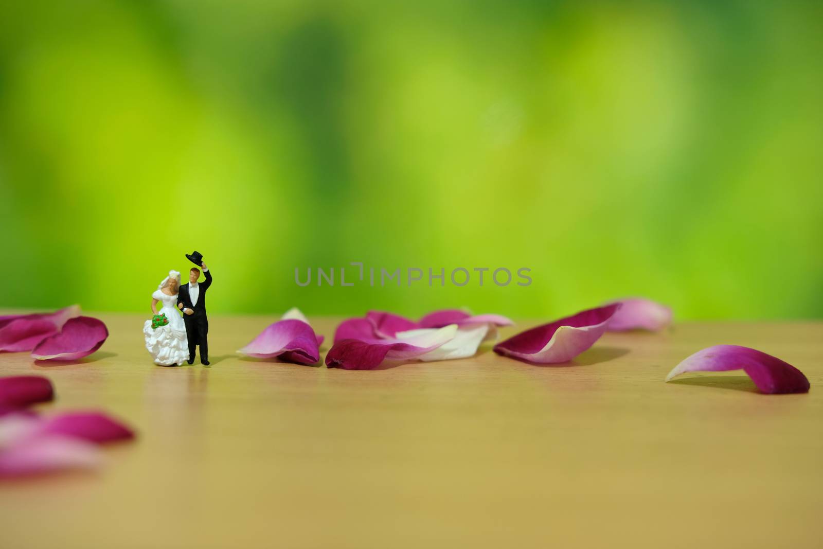 Miniature photography - outdoor garden wedding ceremony concept, bride and groom walking on red and white rose flower pile by Macrostud