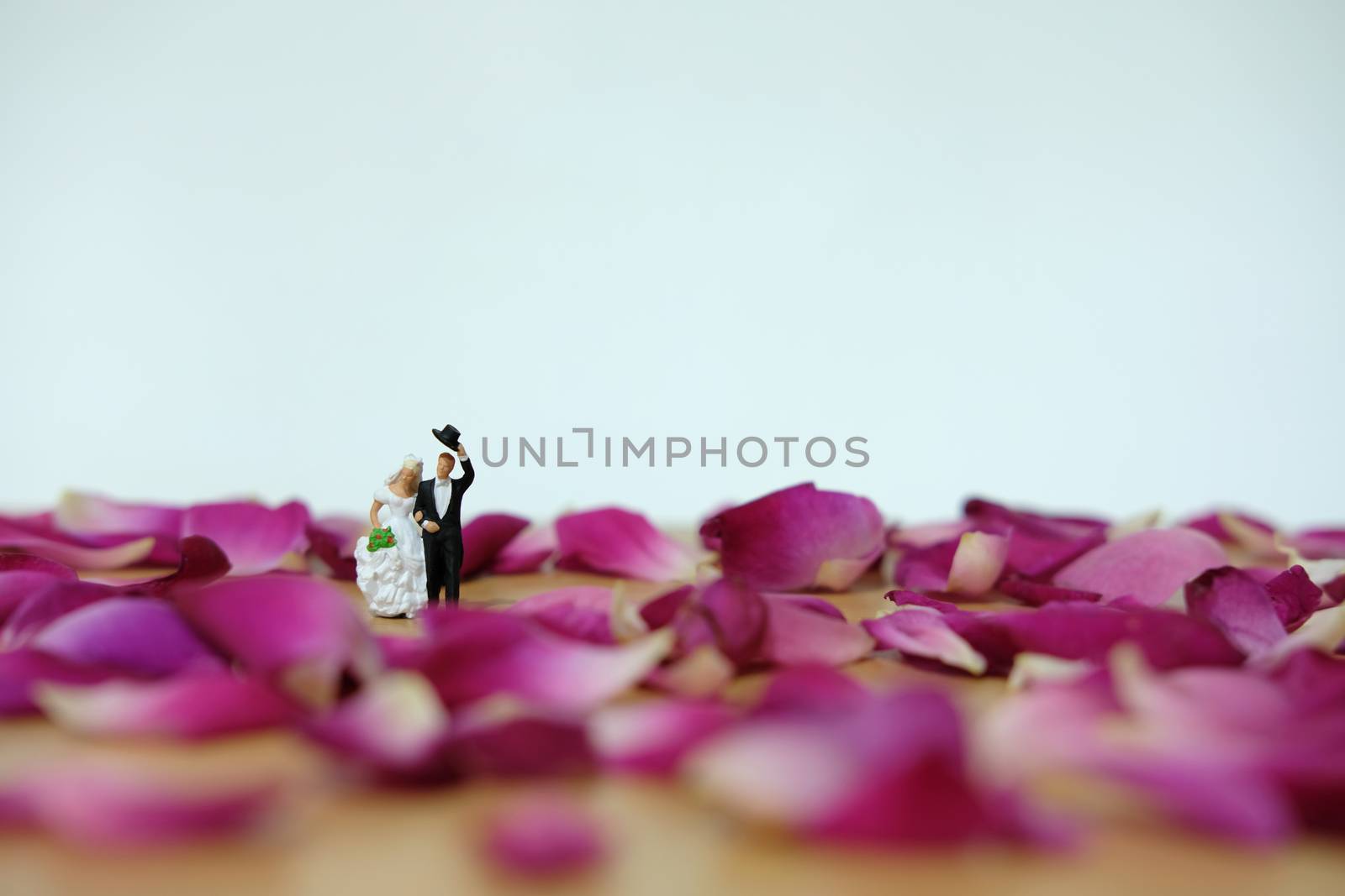 Miniature photography - outdoor wedding / garden wedding ceremony concept, bride and groom walking on red rose flower pile by Macrostud