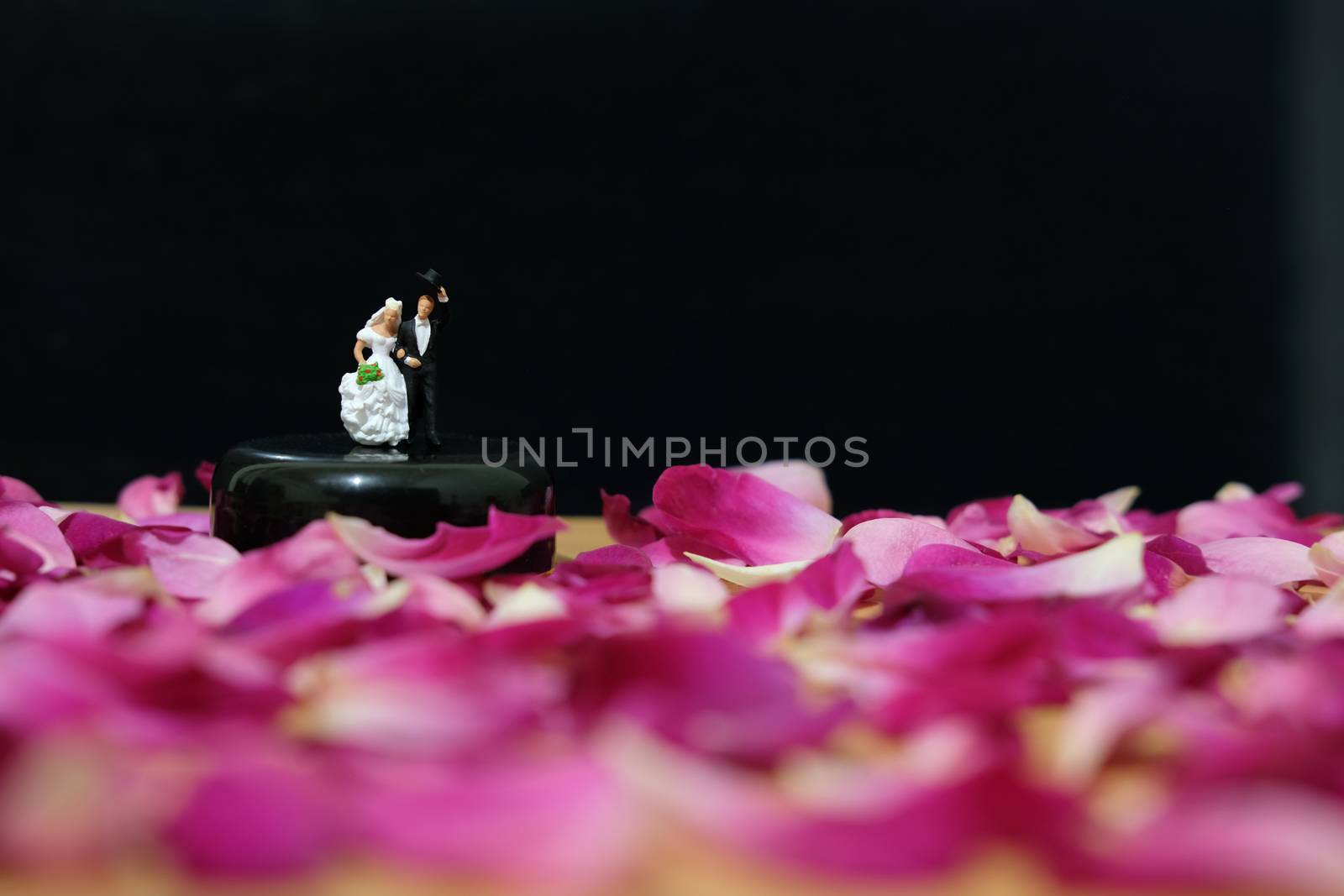 Miniature photography - outdoor garden wedding ceremony concept, bride and groom walking on red rose flower pile by Macrostud