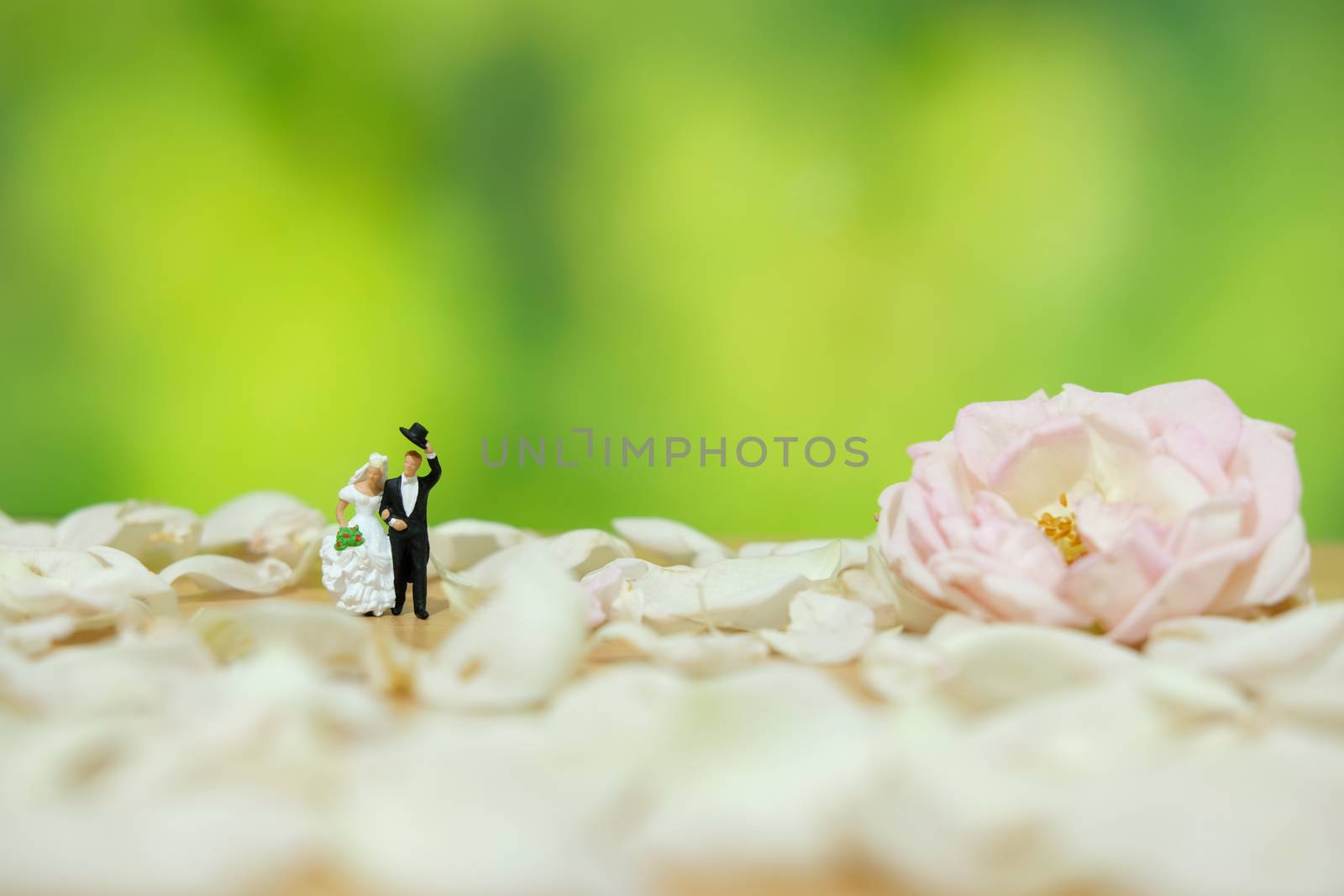 Miniature photography - outdoor garden wedding ceremony concept, bride and groom walking on white rose flower pile by Macrostud