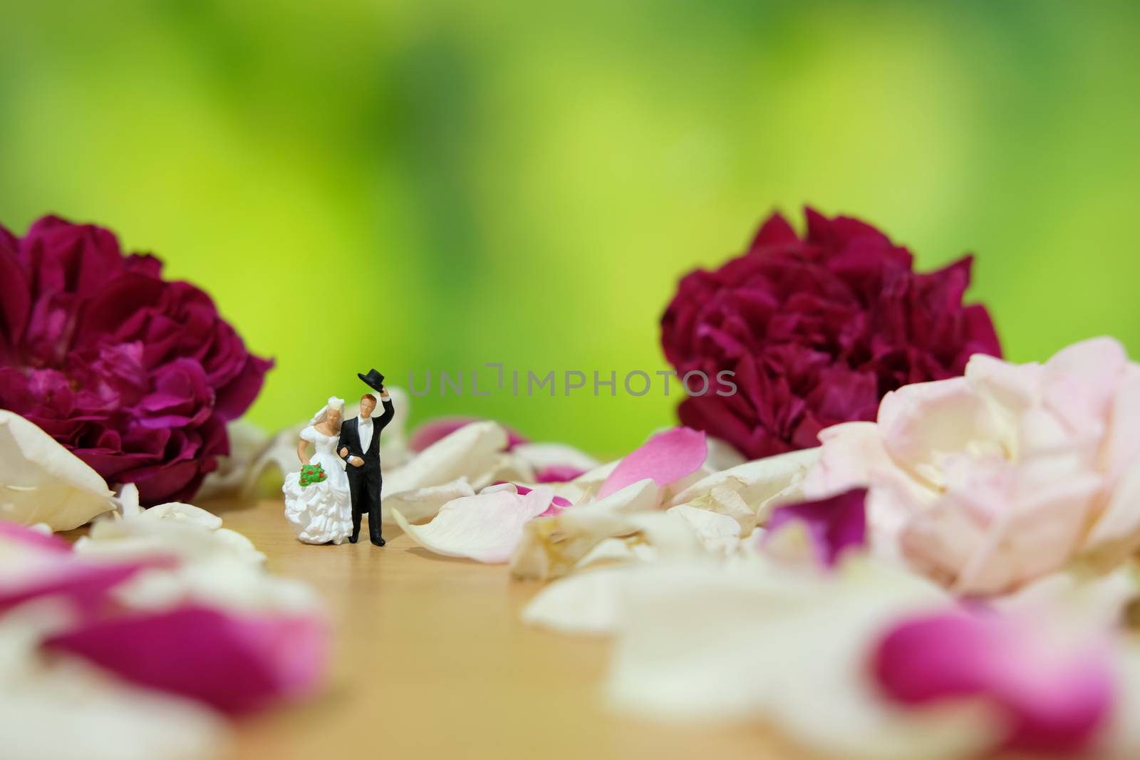 Miniature photography - outdoor garden wedding ceremony concept, bride and groom walking on red and white rose flower pile by Macrostud