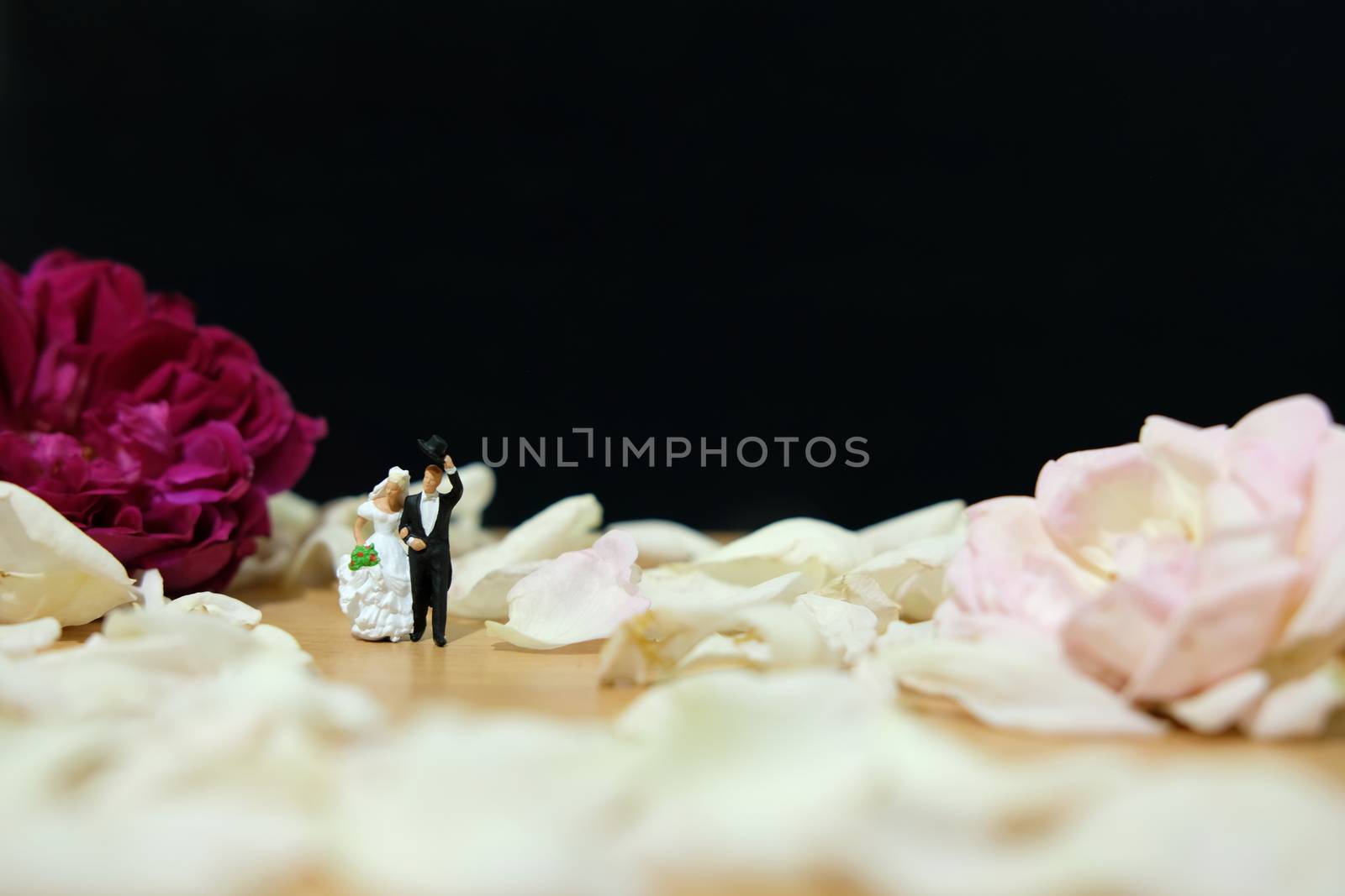 Miniature photography - outdoor garden wedding ceremony concept, bride and groom walking on white rose flower pile