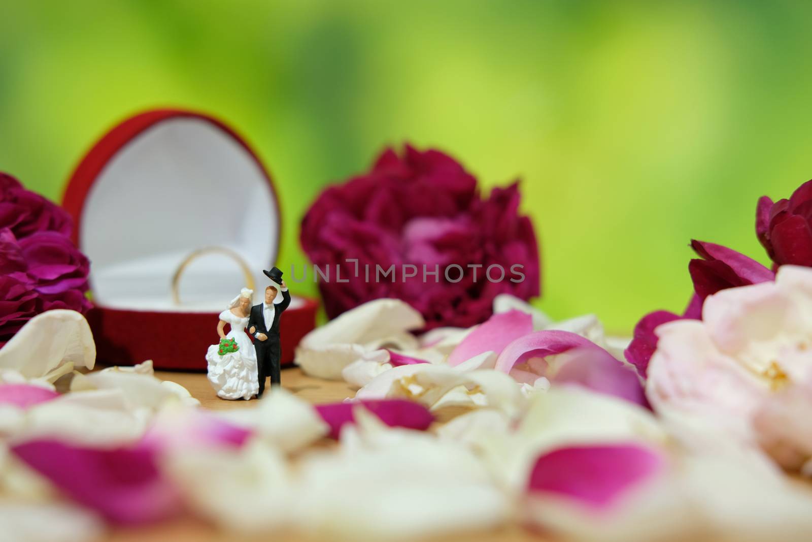 Miniature photography - outdoor garden wedding ceremony concept, bride and groom walking on red and white rose flower pile