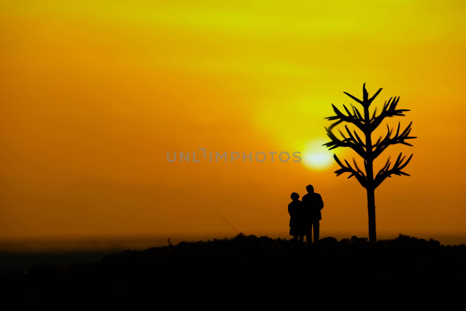 miniature people / toy photography - conceptual valentine holiday illustration. elder couple silhouette standing at the sand beach with dried tree by Macrostud