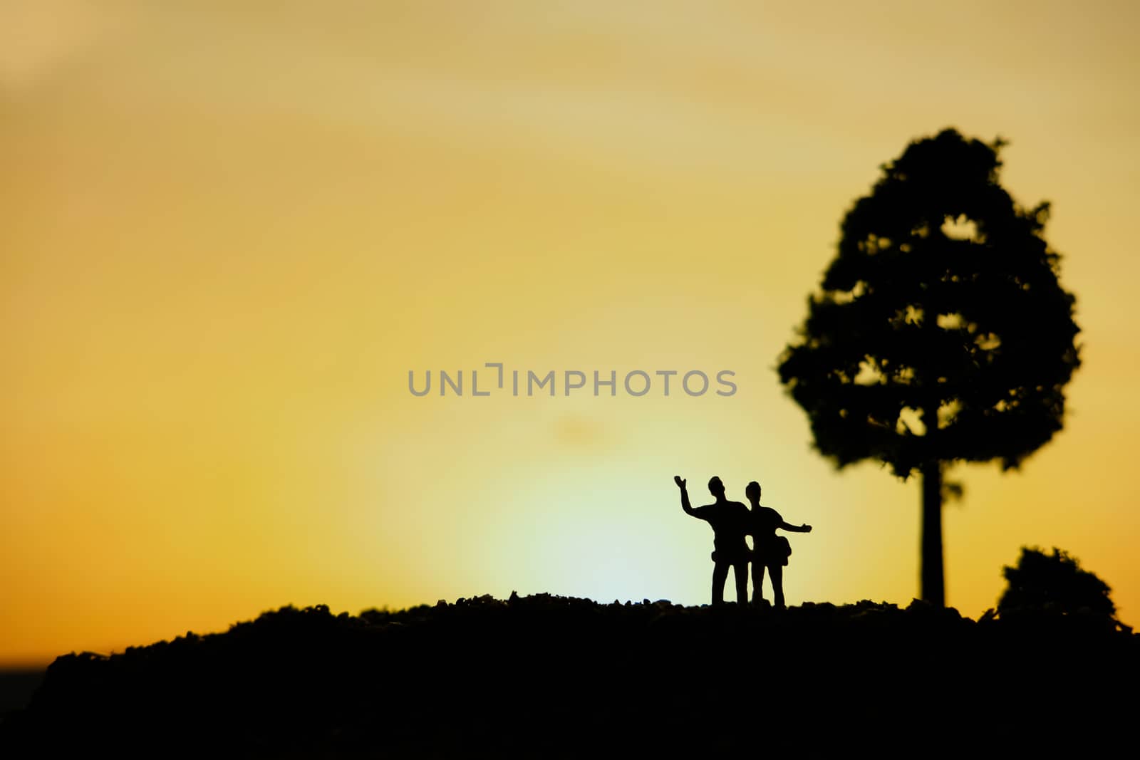 miniature people / toy photography - conceptual valentine holiday illustration. Happy couple holding each other enjoying sunset view bellow a big tree by Macrostud