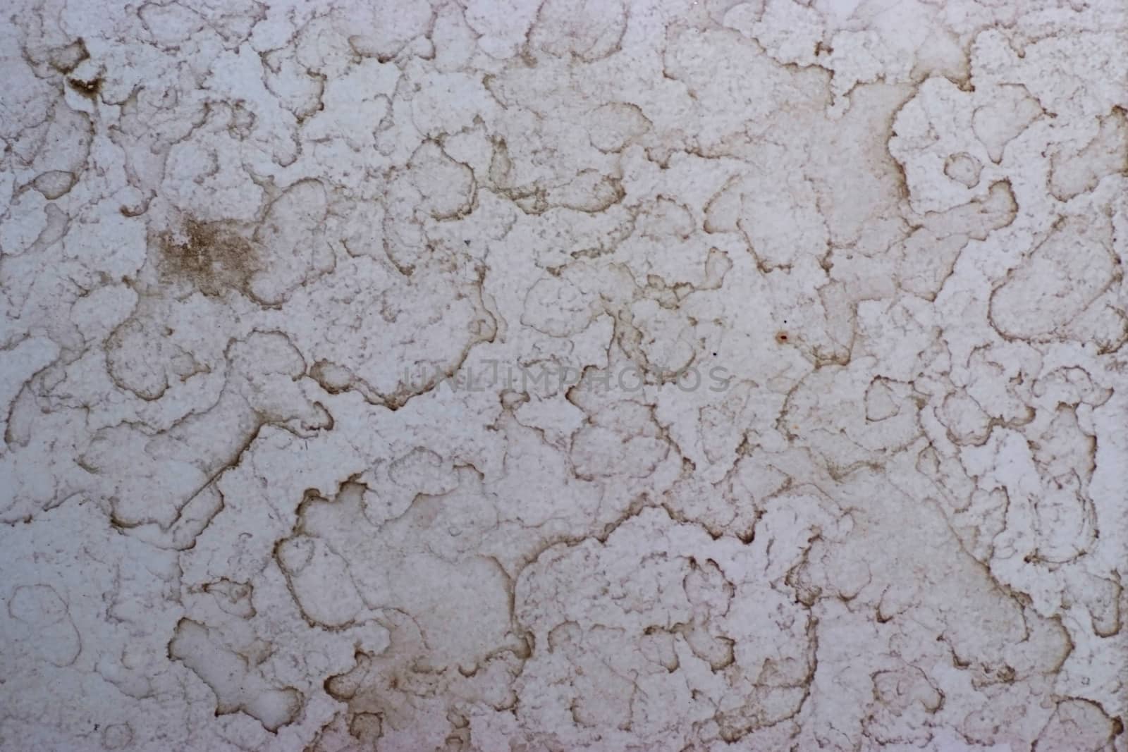 Stains dirty on the white floor