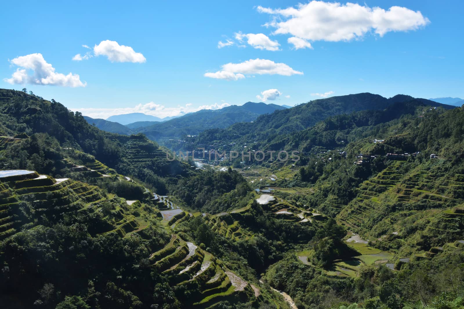 Mountain Valley with Rice Fields on Terraces, irrigated (Ifugao,  Banaue, Philippines).