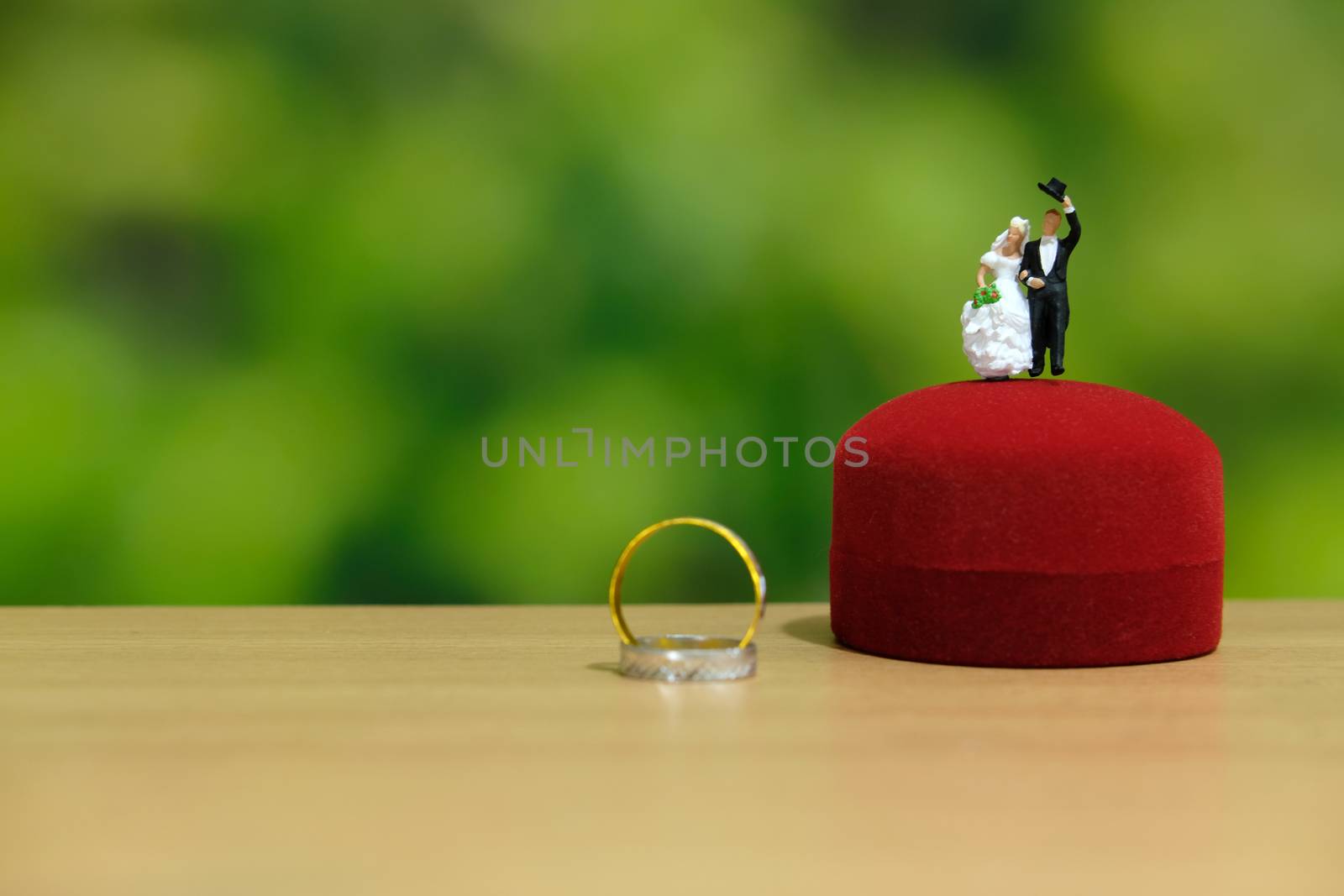 Miniature wedding concept. Bride and groom make greeting from above heart ring box. image photo by Macrostud