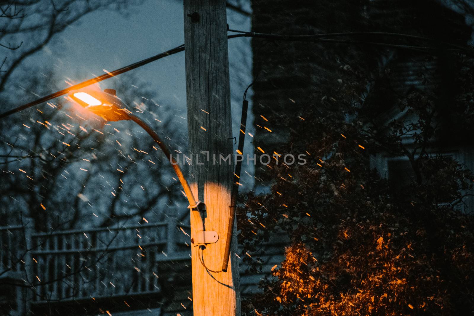 A Light Snow Fall in a Suburban Area Falling in Front of a Street Light