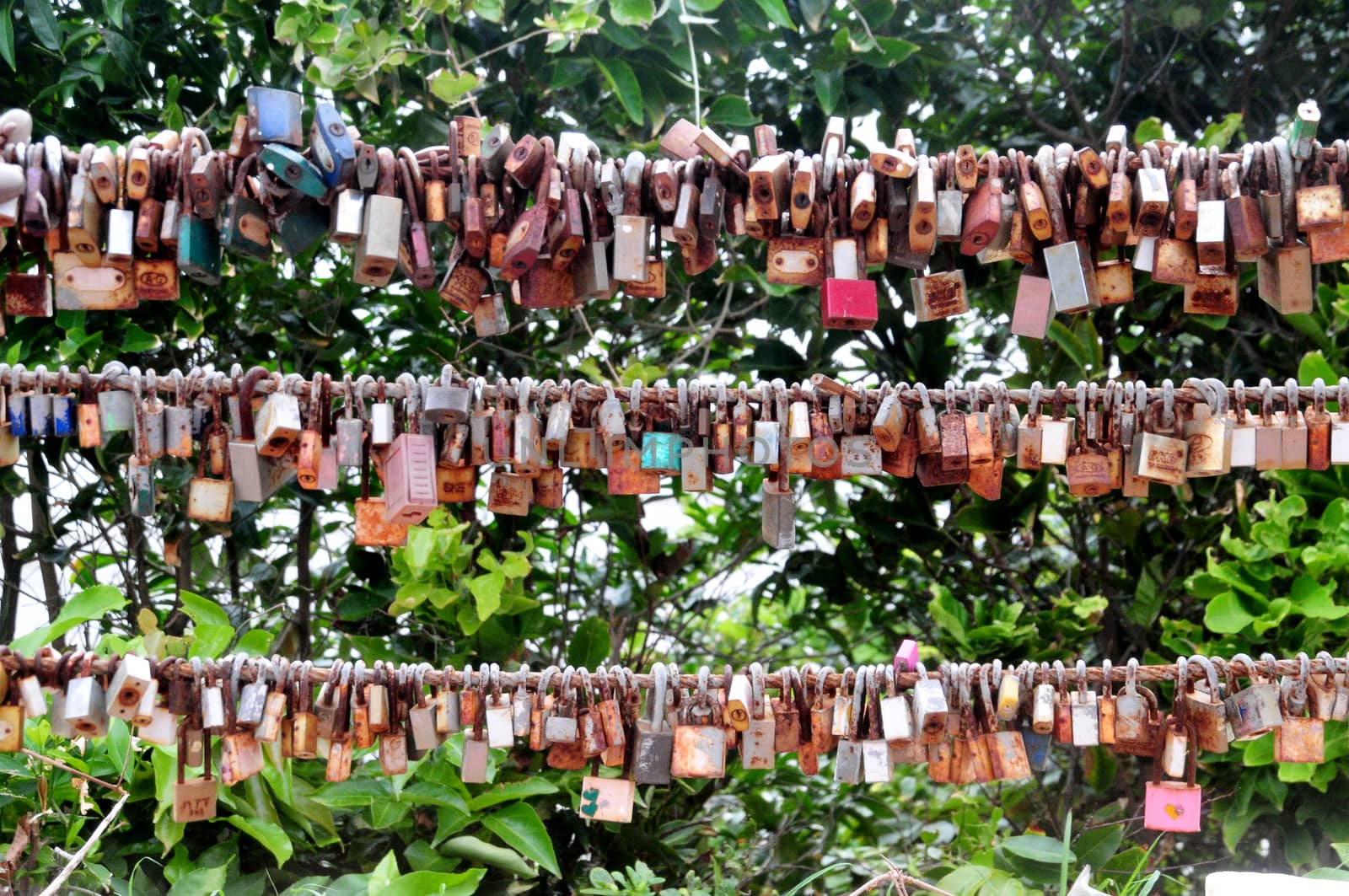 CHANTABURI, THAILAND – 4 AUGUST 2019 : The group of couples Love Key Ceremony at Nang Phaya View Point