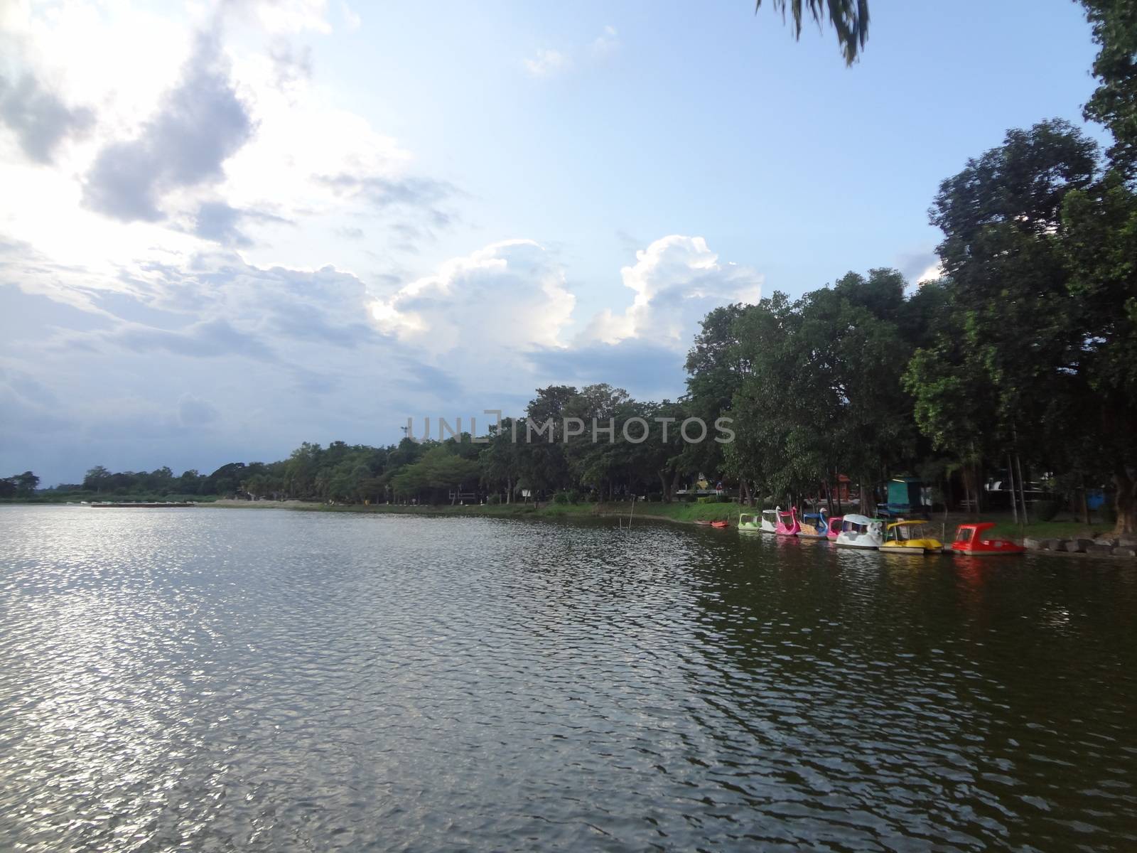 Bueng Si Fai public park, phichit province, thailand