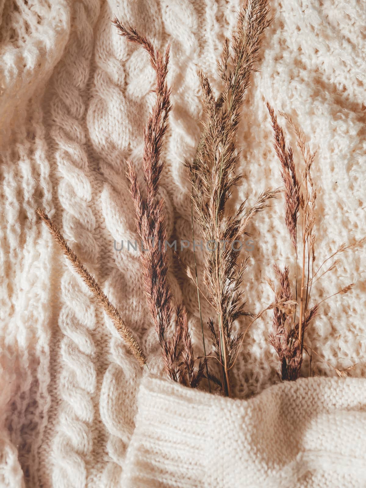 White knitted sweater with dried grass. Autumn concept flat lay. Warm cardigan with plants on it. Rustic authentic lifestyle background.