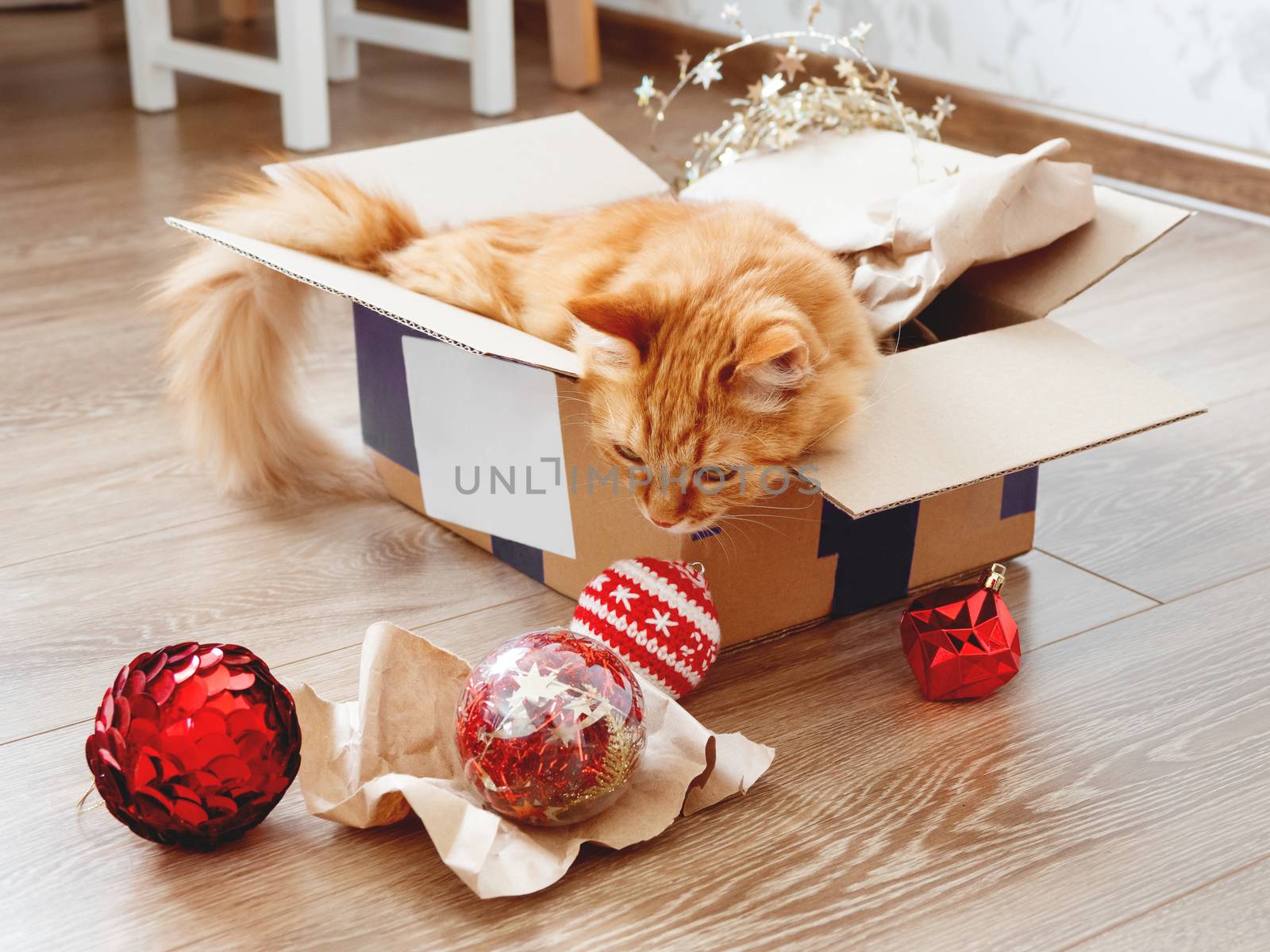 Cute ginger cat lies in box with Christmas and New Year decorations on wooden background. Fluffy pet with red Santa Claus hat. Fuzzy domestic animal during winter holiday preparation.