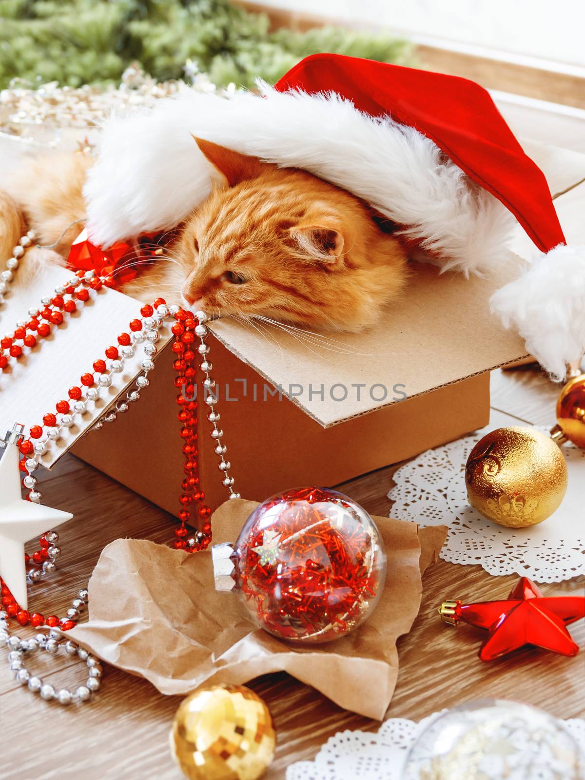 Cute ginger cat lies in box with Christmas and New Year decorations on wooden background. Fluffy pet with red Santa Claus hat. Fuzzy domestic animal during winter holiday preparation.