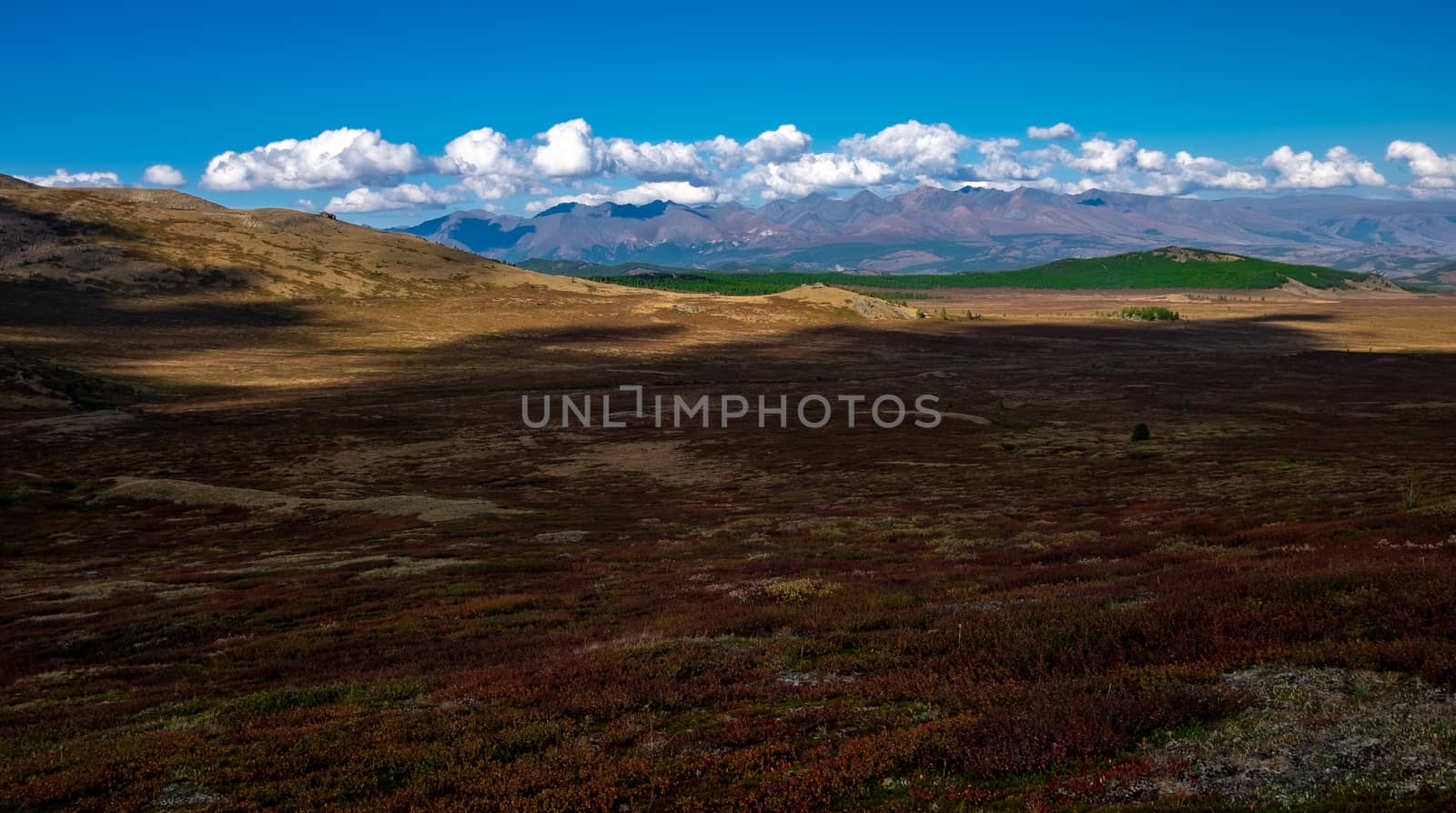 Mountain plateau in clear weather in the Altai Republic.