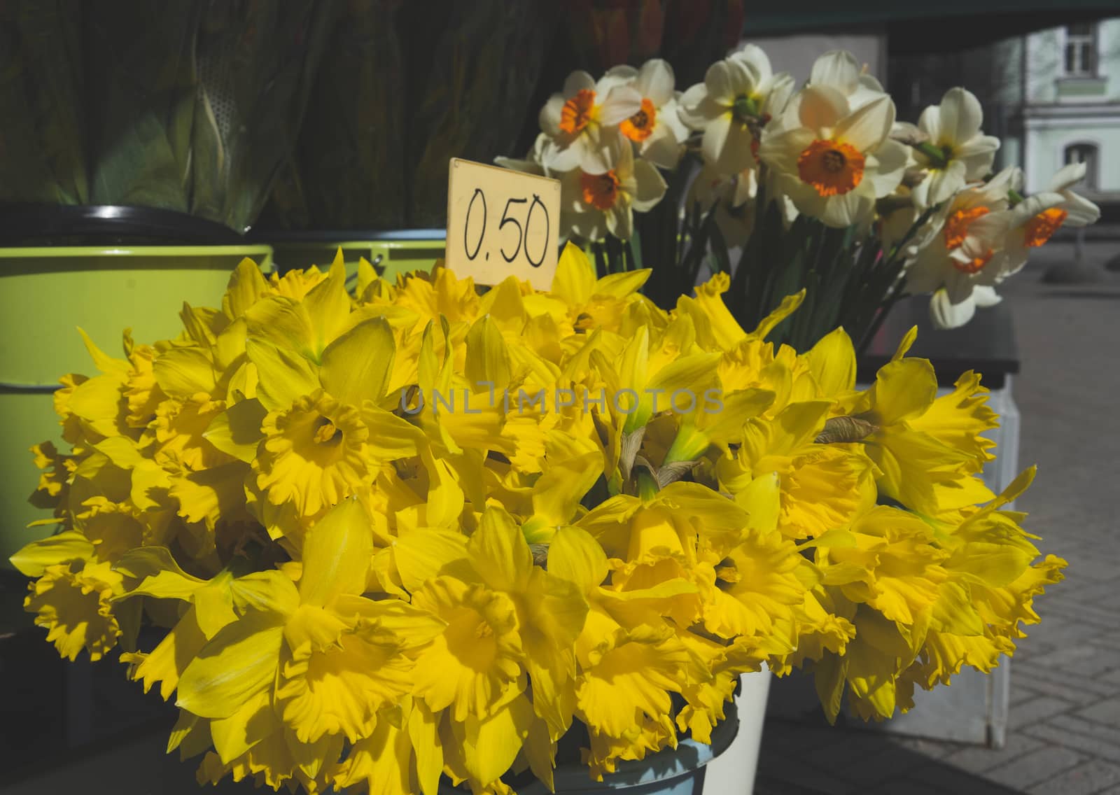 Bouquet of yellow daffodils in a flower shop