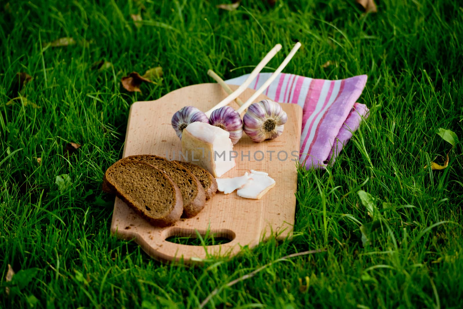Garlic, lard and bread on a grass background.