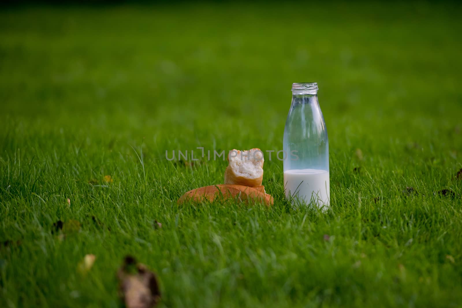 Glass bottle with milk and fresh baguette on young grass. Close-up.