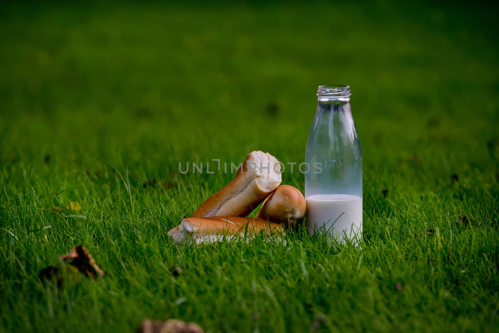 Glass bottle with milk and fresh baguette on young grass. Close-up.