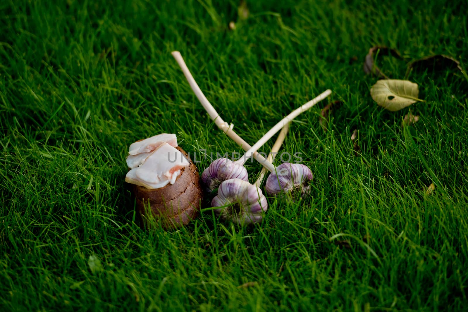 Garlic, lard and bread on a grass background.