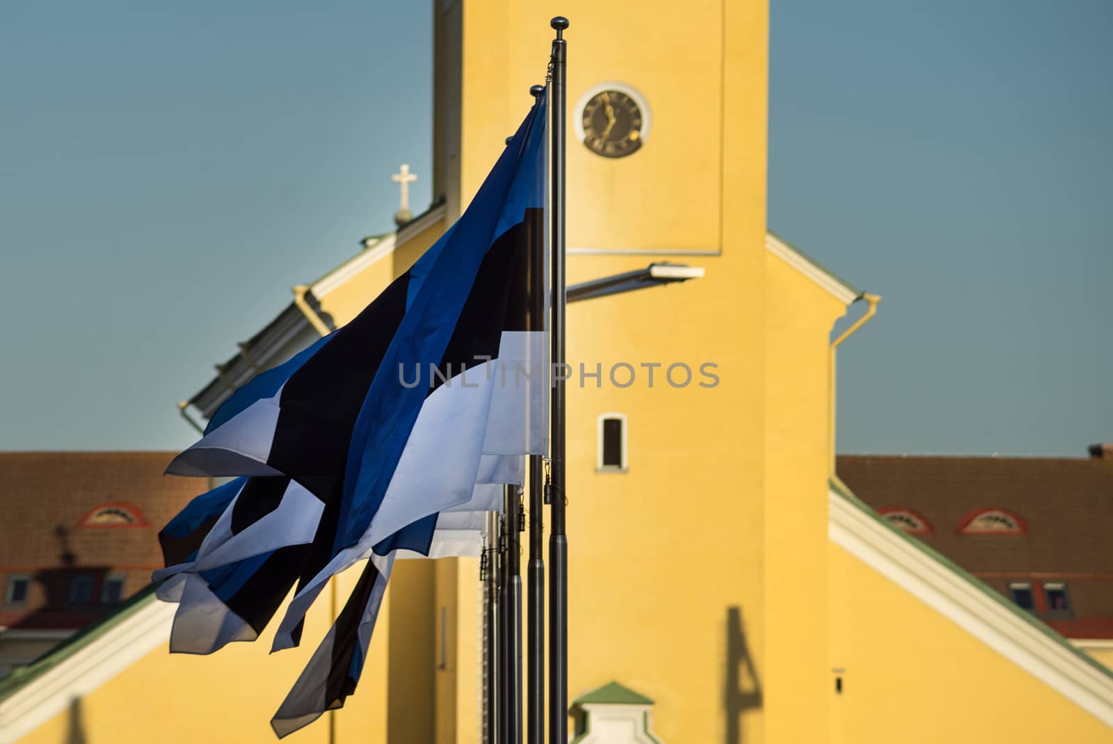 Estonian flags on the background St. John's Church in Tallinn.