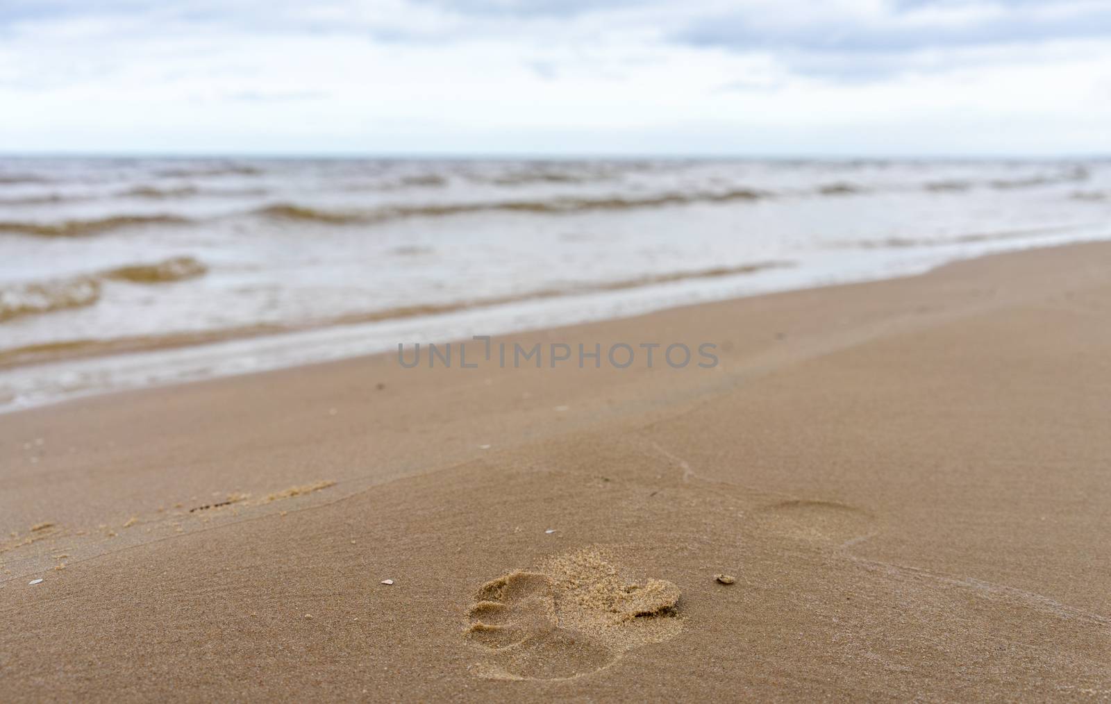 Trail of bare feet on the wet sand of a beach