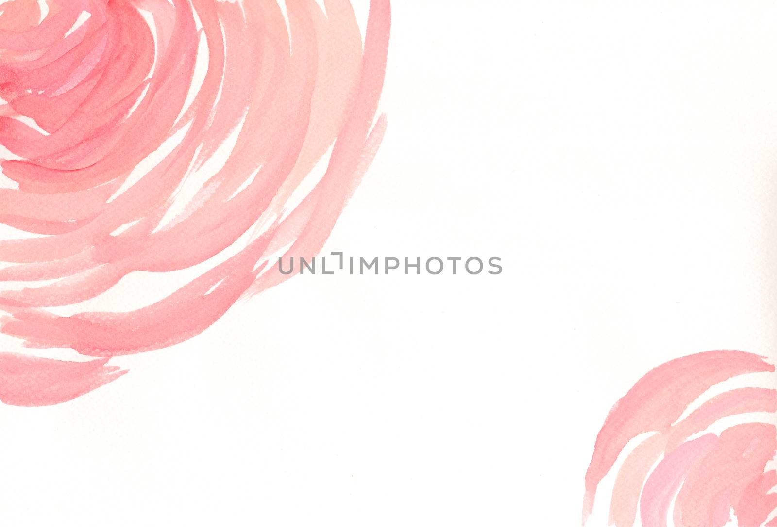 Romantic pink rose background. hand paint watercolor, living coral tone, space for text, brush stroke texture on white paper. color of the year 2019. by Ungamrung