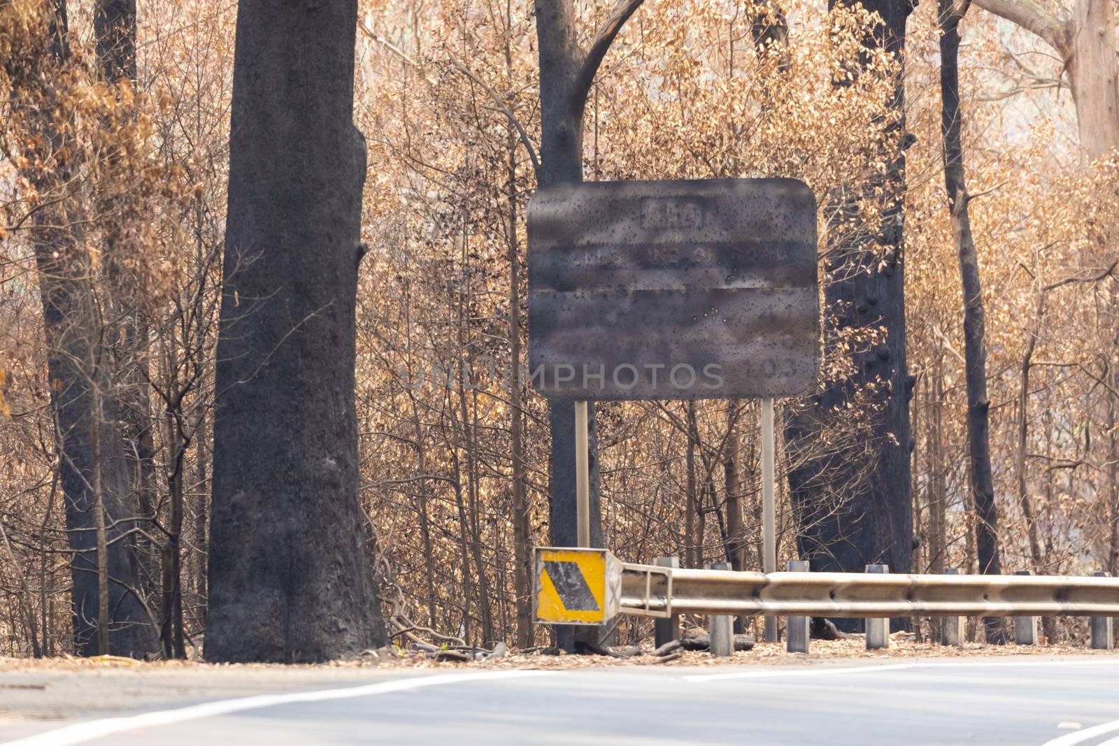 A burnt sign on a road surrounded by burnt gum trees due to bushfire in The Blue Mountains in regional Australia by WittkePhotos