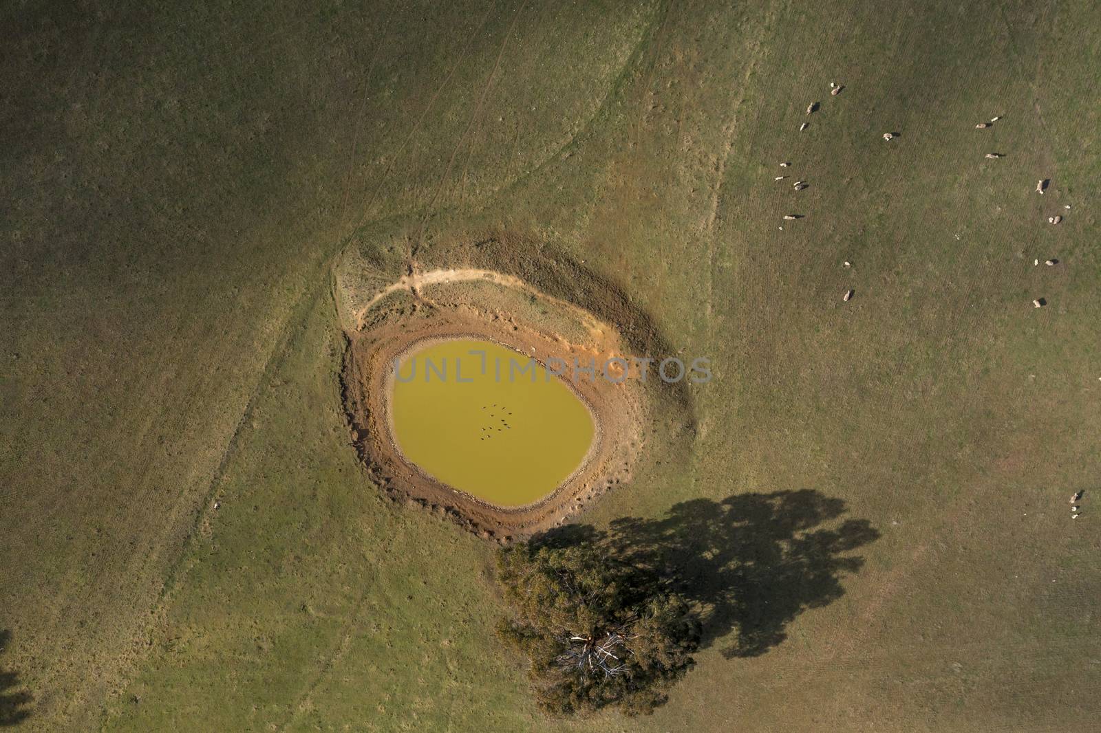 A drought affected agricultural dam in regional Australia by WittkePhotos