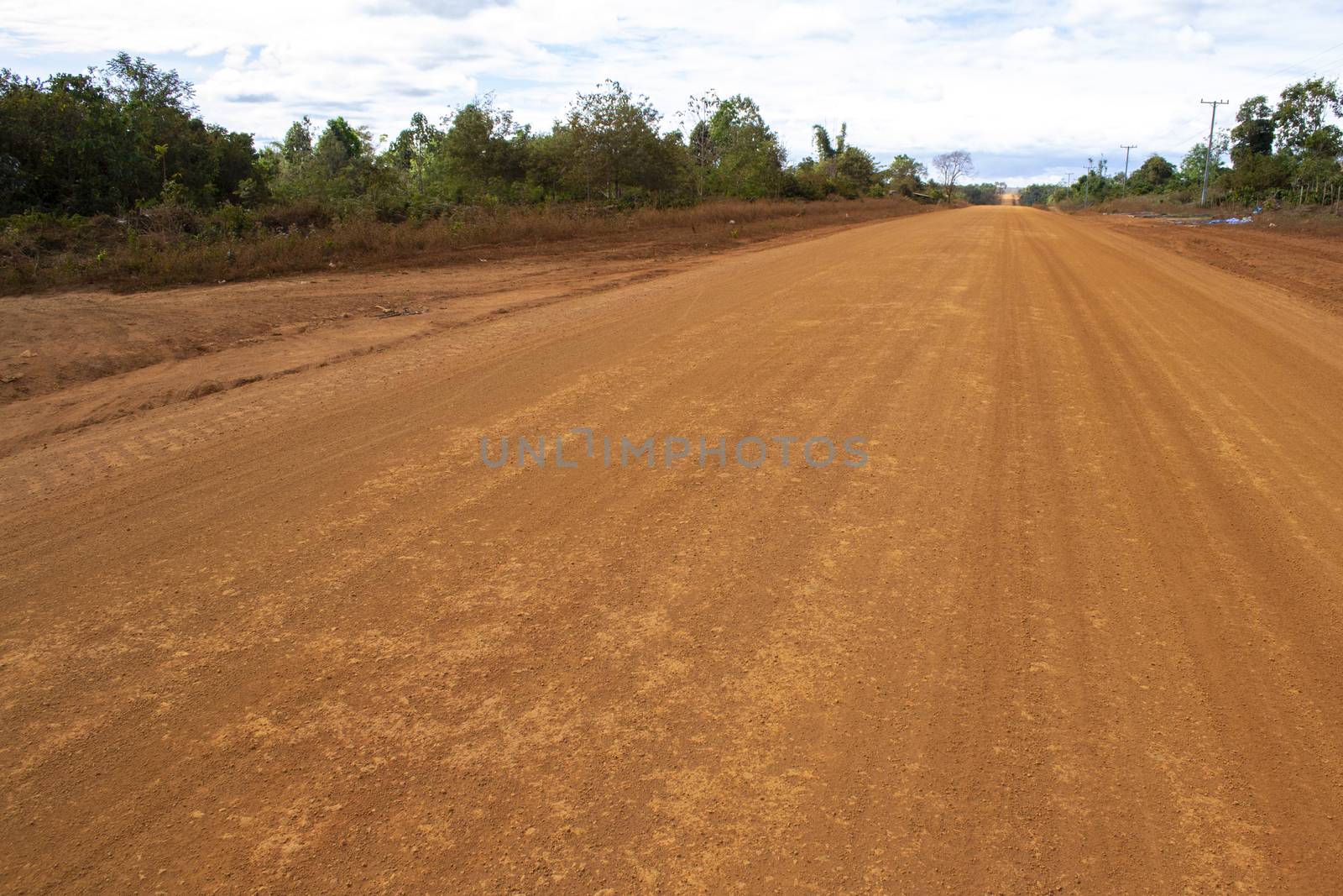 road construction in the jungle. deforestation in favor of development. dirt road to be asphalted. by kb79