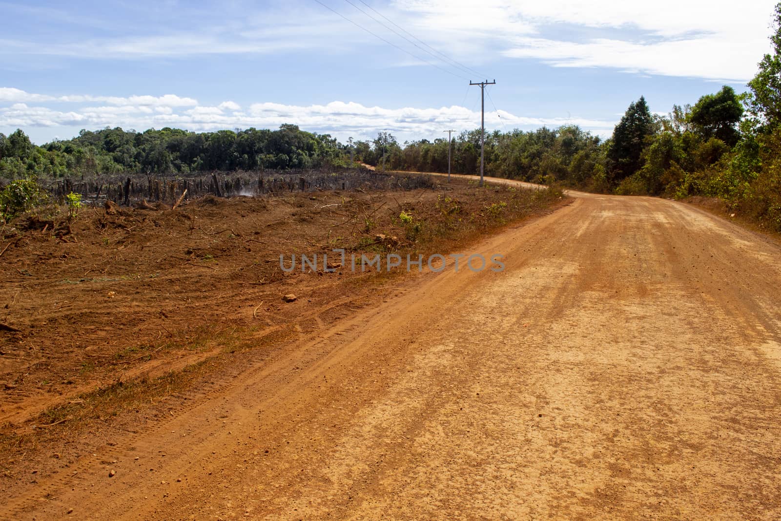 road construction in the jungle. deforestation in favor of development. dirt road to be asphalted. by kb79