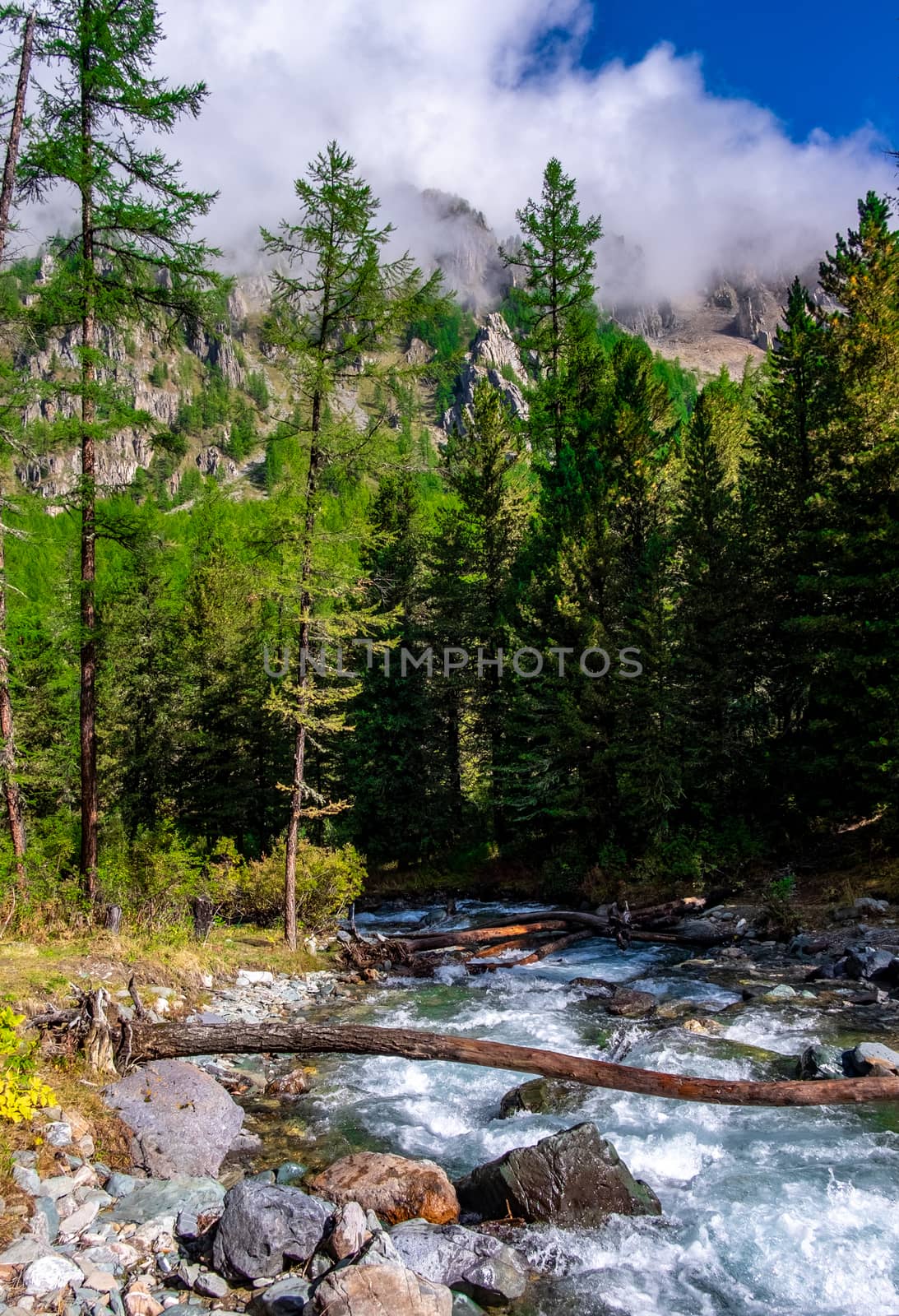 Mountain stream on the background of mountain peaks shrouded in fog.