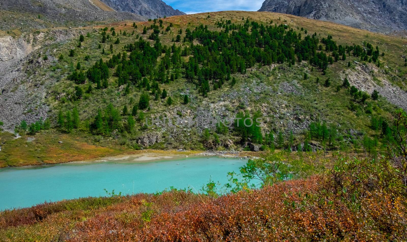 Mountain lake on the background of snow-capped peaks in the Altai Republic.