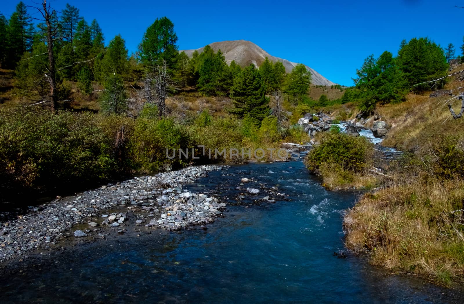 Mountain river in the Altai Republic.