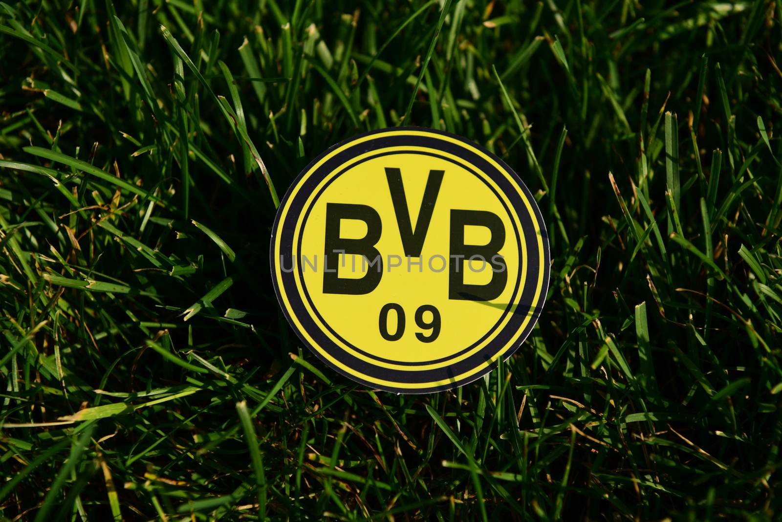 September 6, 2019 Istanbul, Turkey. The emblem of the German football club Borussia Dortmund on the green grass of the football field.